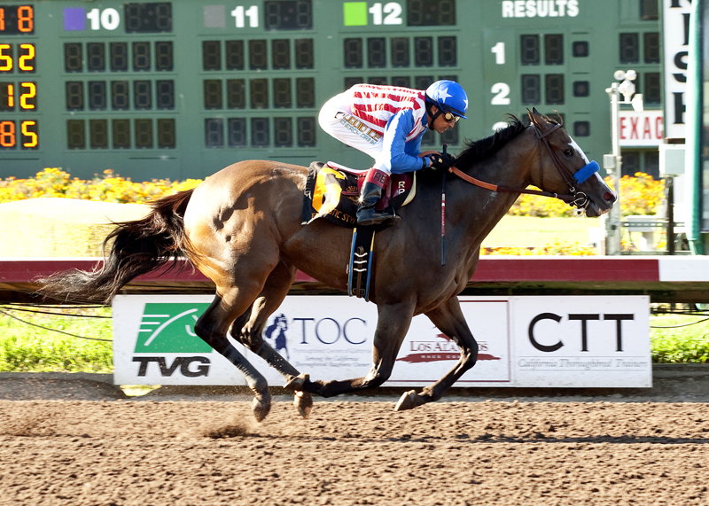 Fantastic Style wins 2015 Great Lady M
