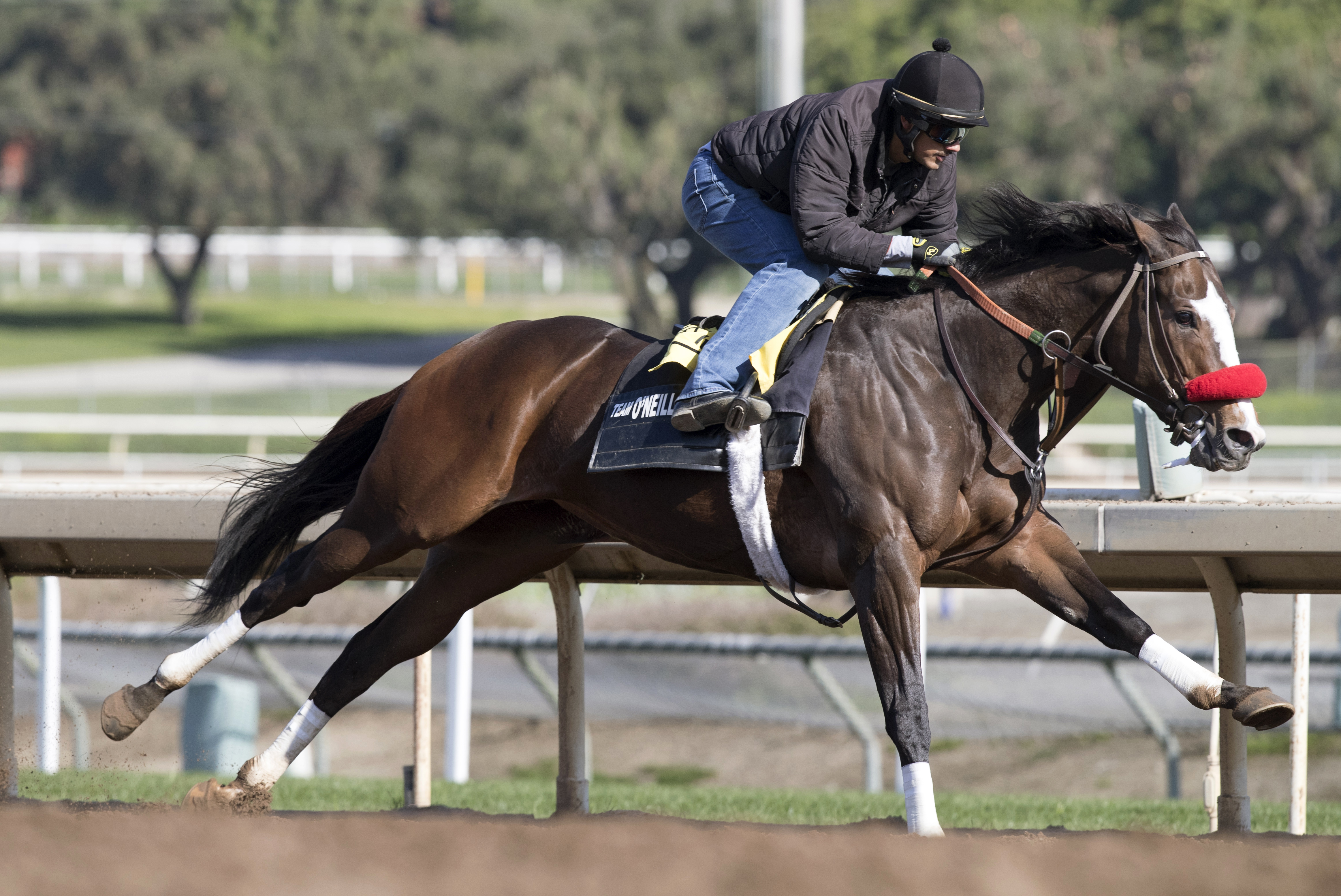Fantastic Style trains at Santa Anita on Feb. 16
