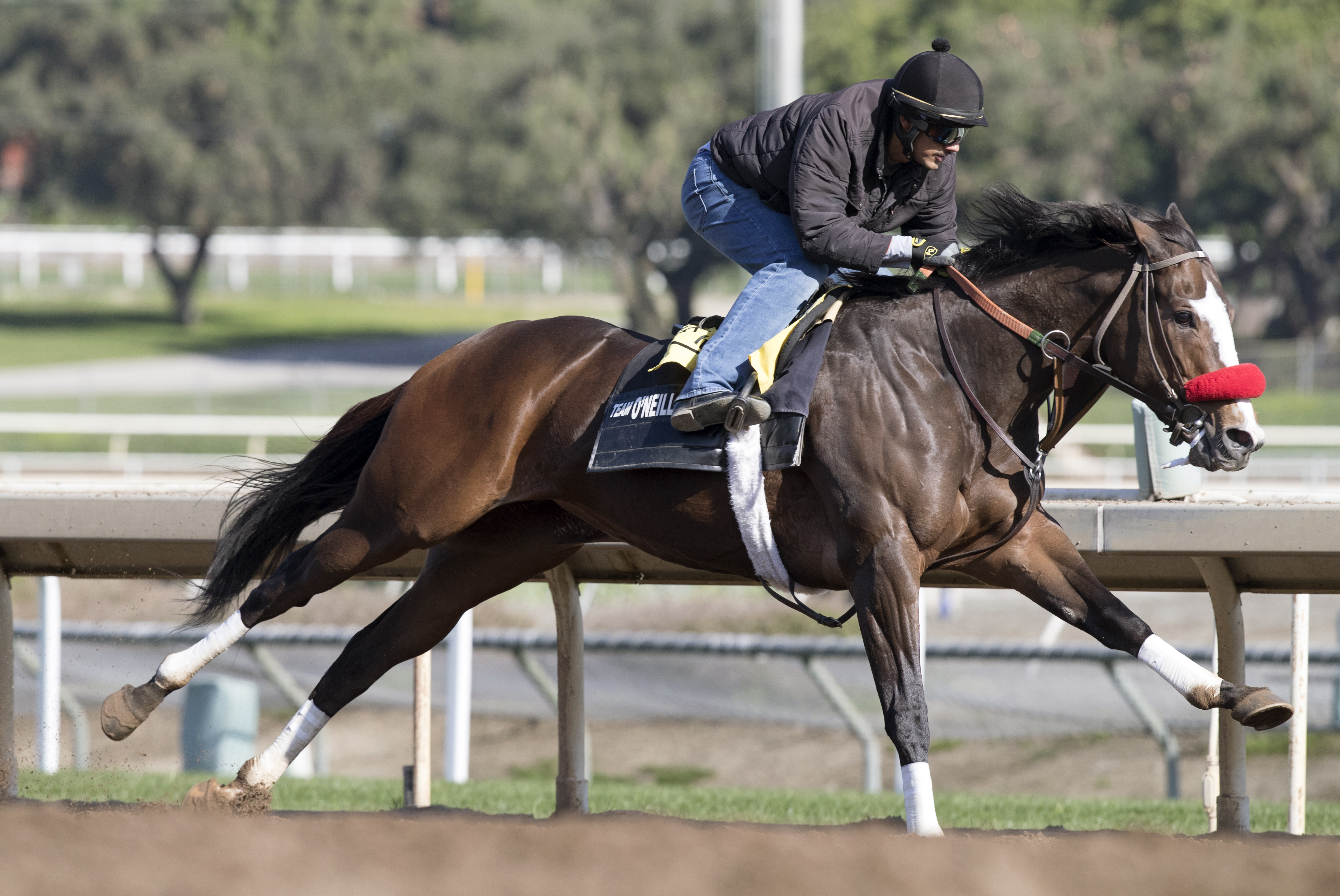 Fantastic Style trains at Santa Anita on Feb. 16