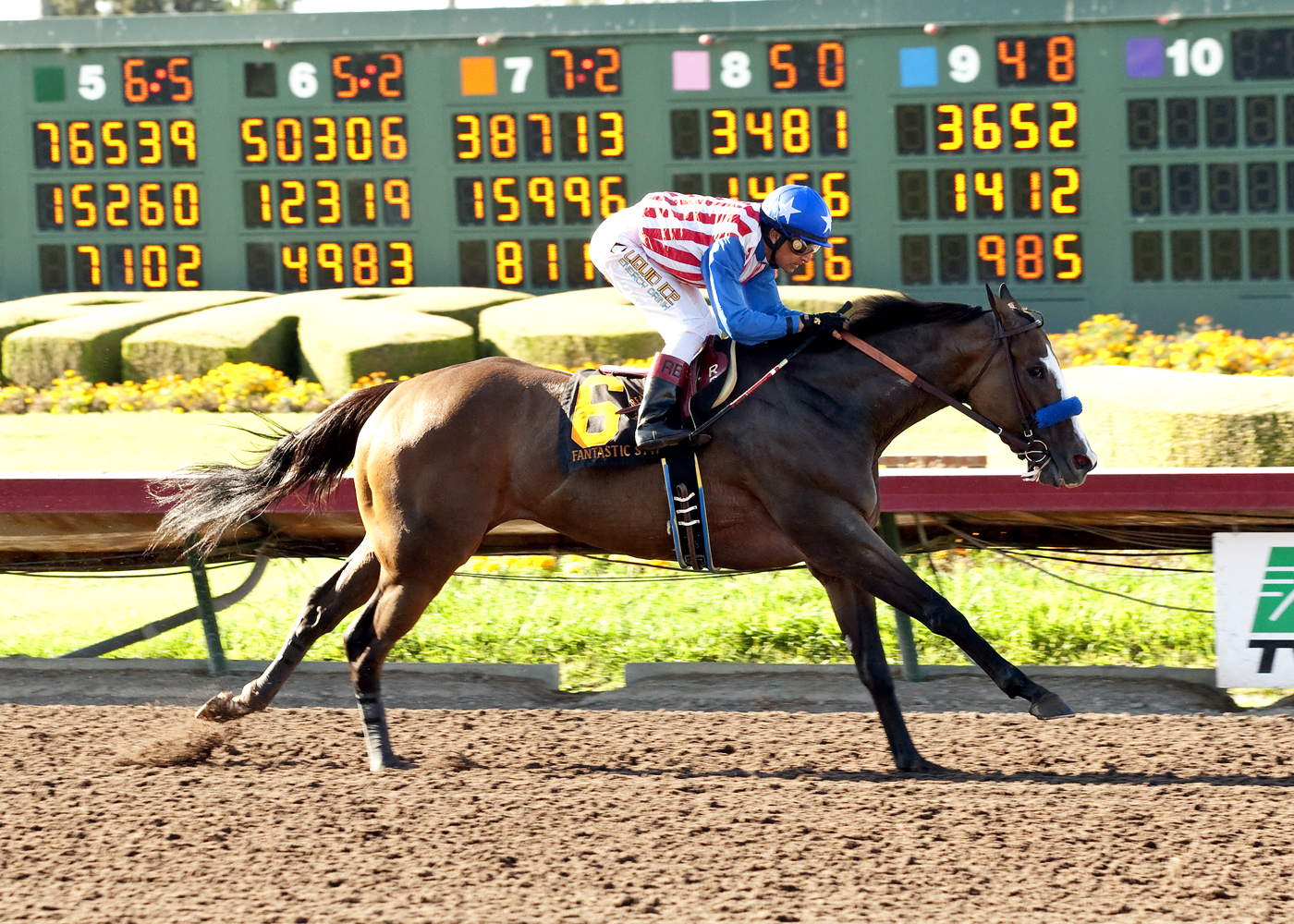 Fantastic Style wins the Great Lady M. Stakes