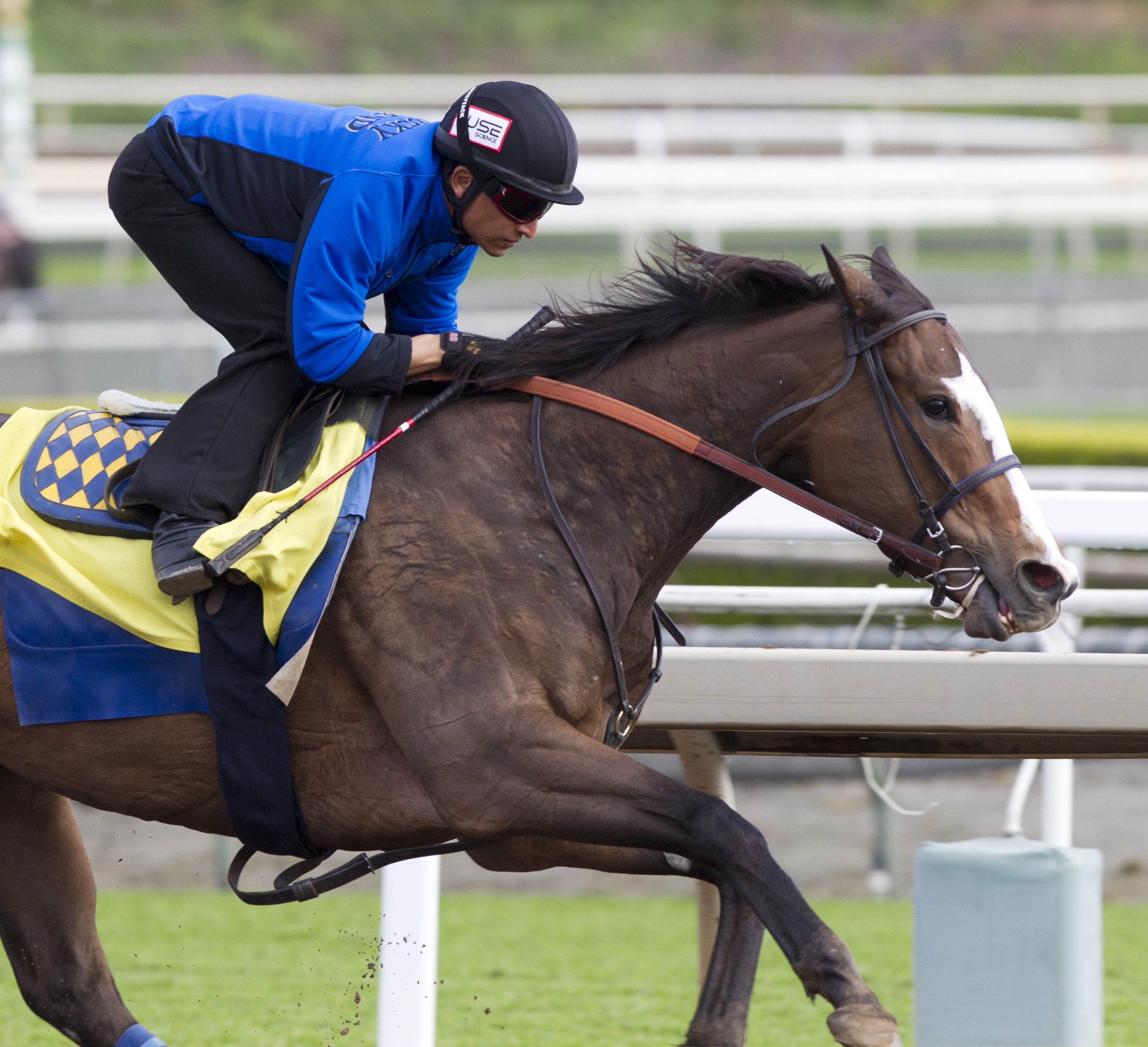 Fantastic Style trains at Santa Anita on March 14