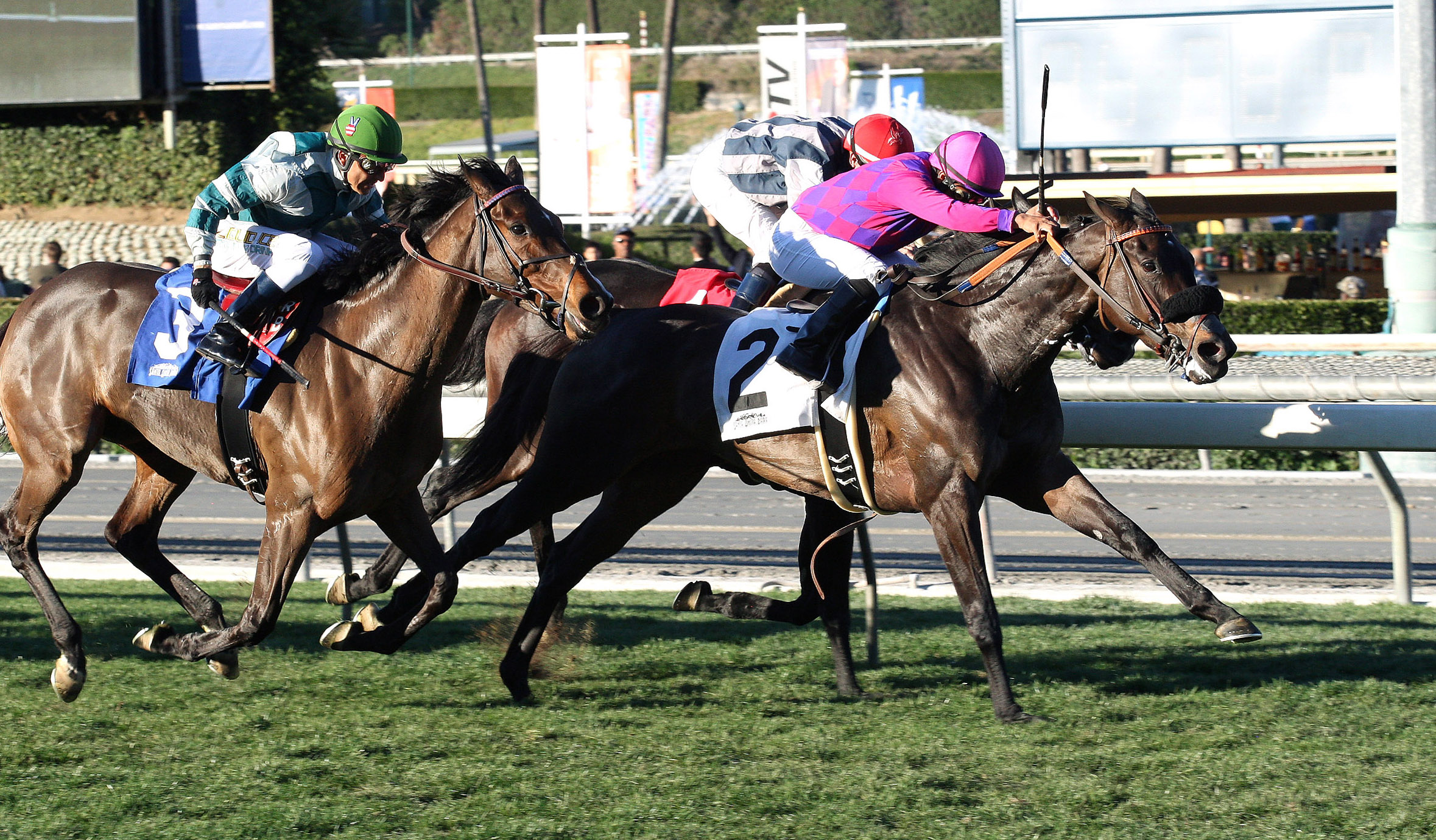 Fanticola wins the Megahertz Stakes