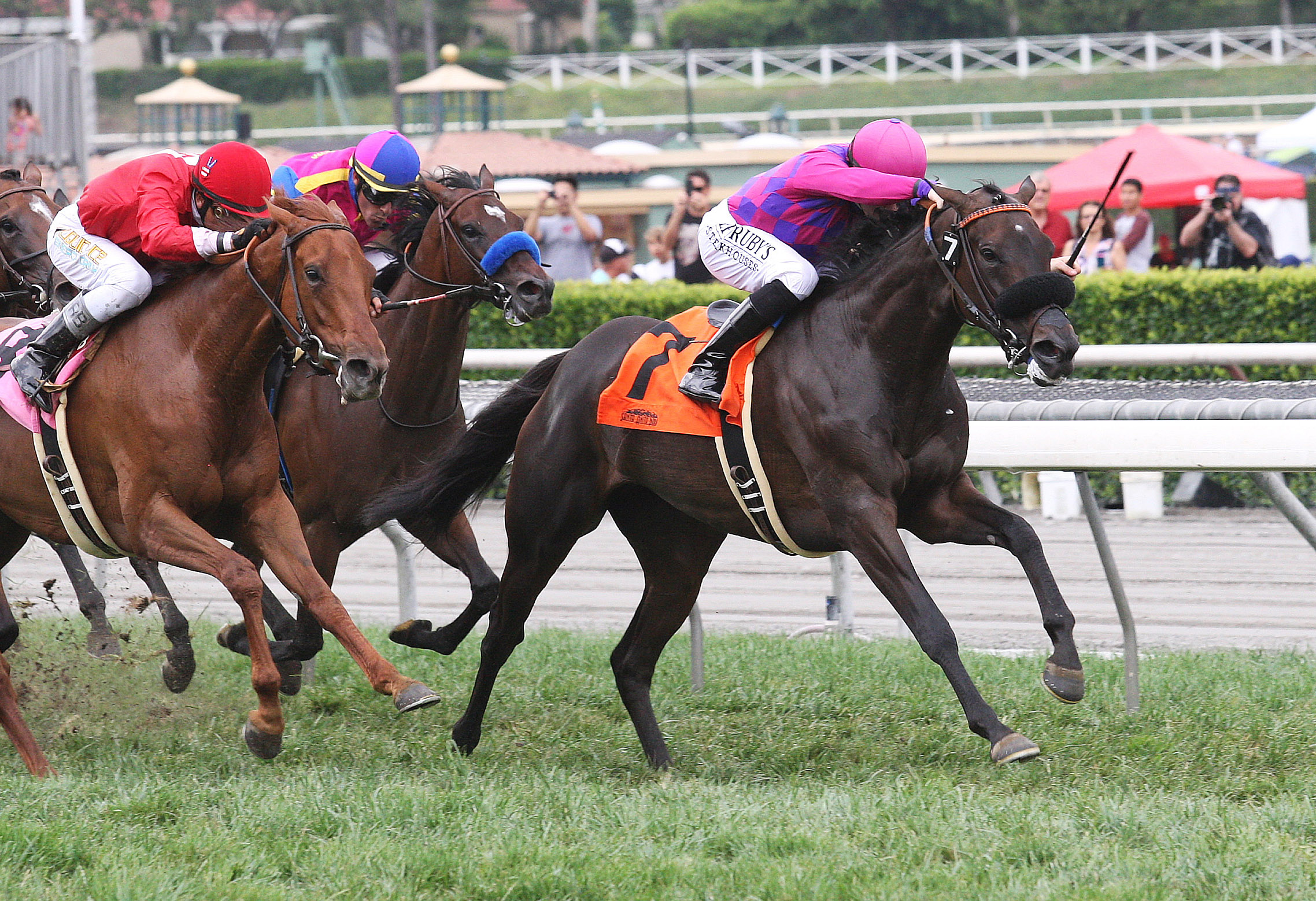 Fanticola wins the Royal Heroine
