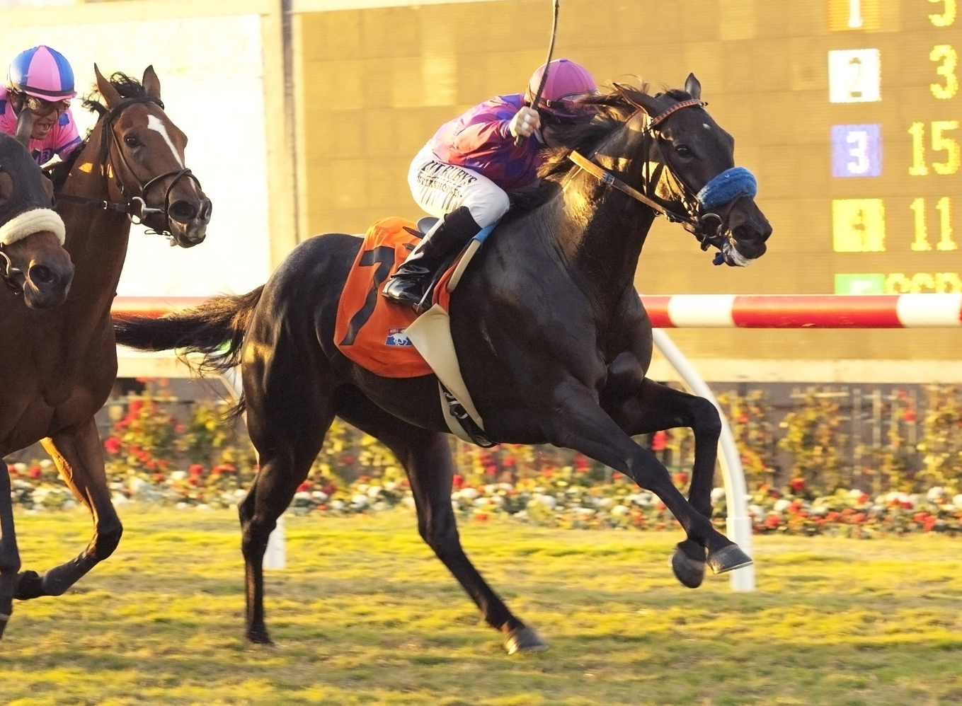 Fanticola wins a maiden race