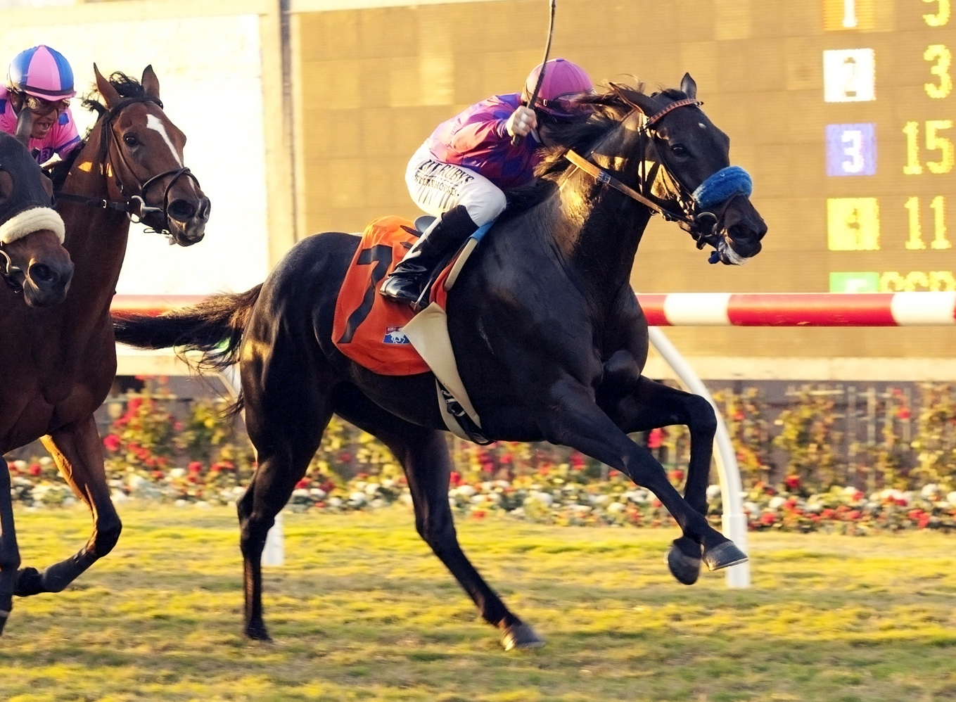 Fanticola wins a maiden race