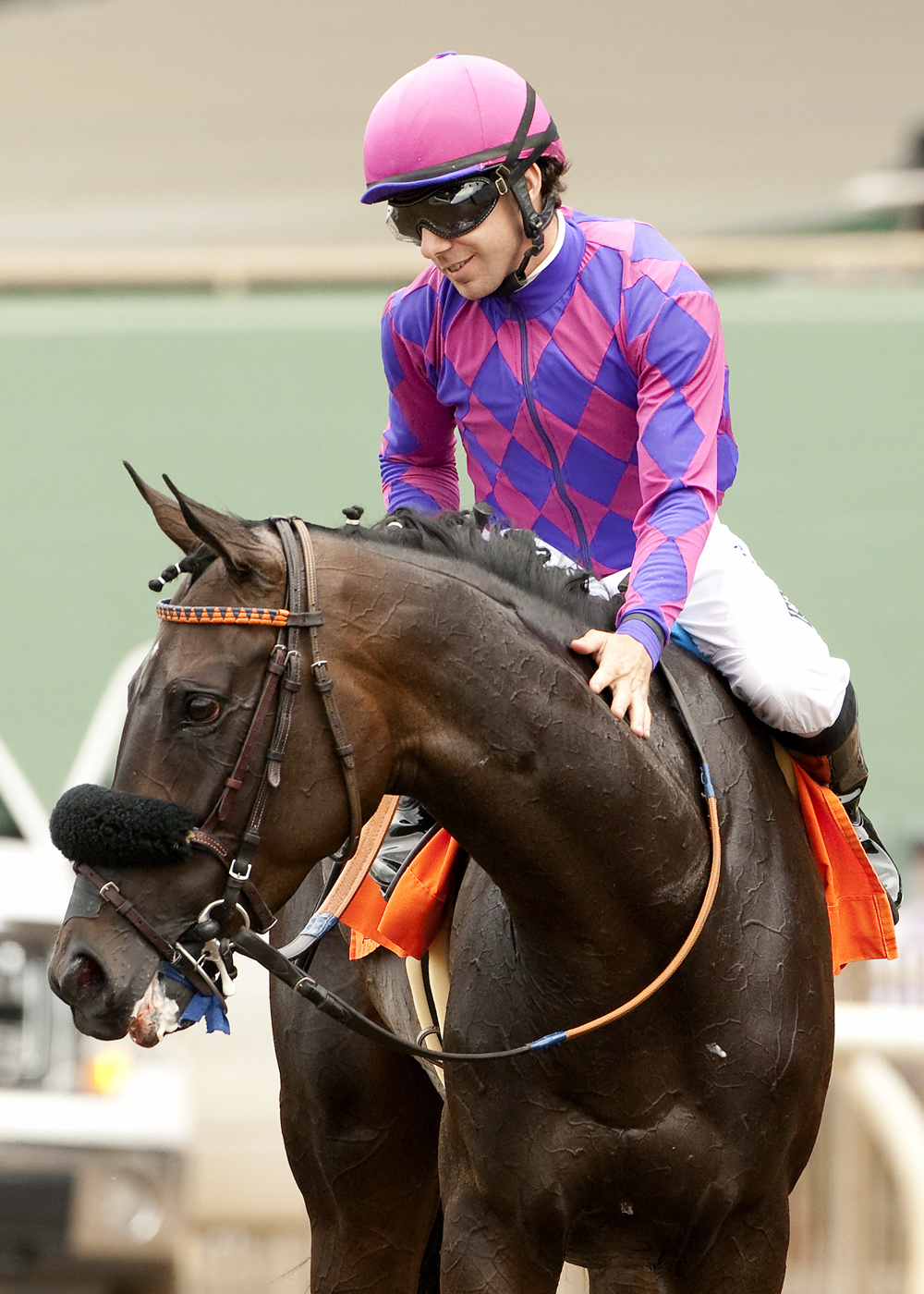 Fanticola at the Royal Heroine Stakes