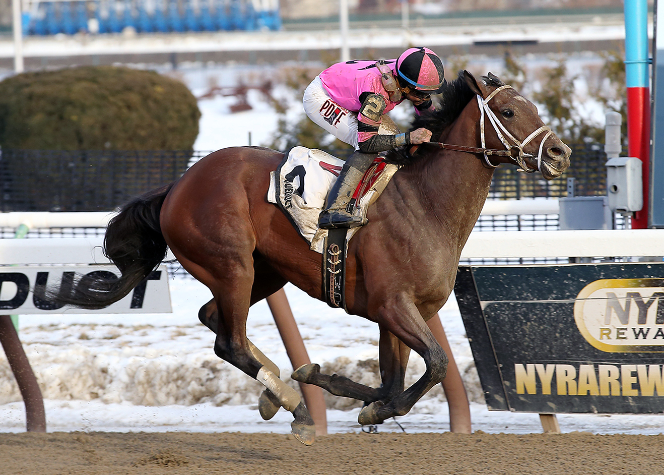 Far From Over wins the Withers