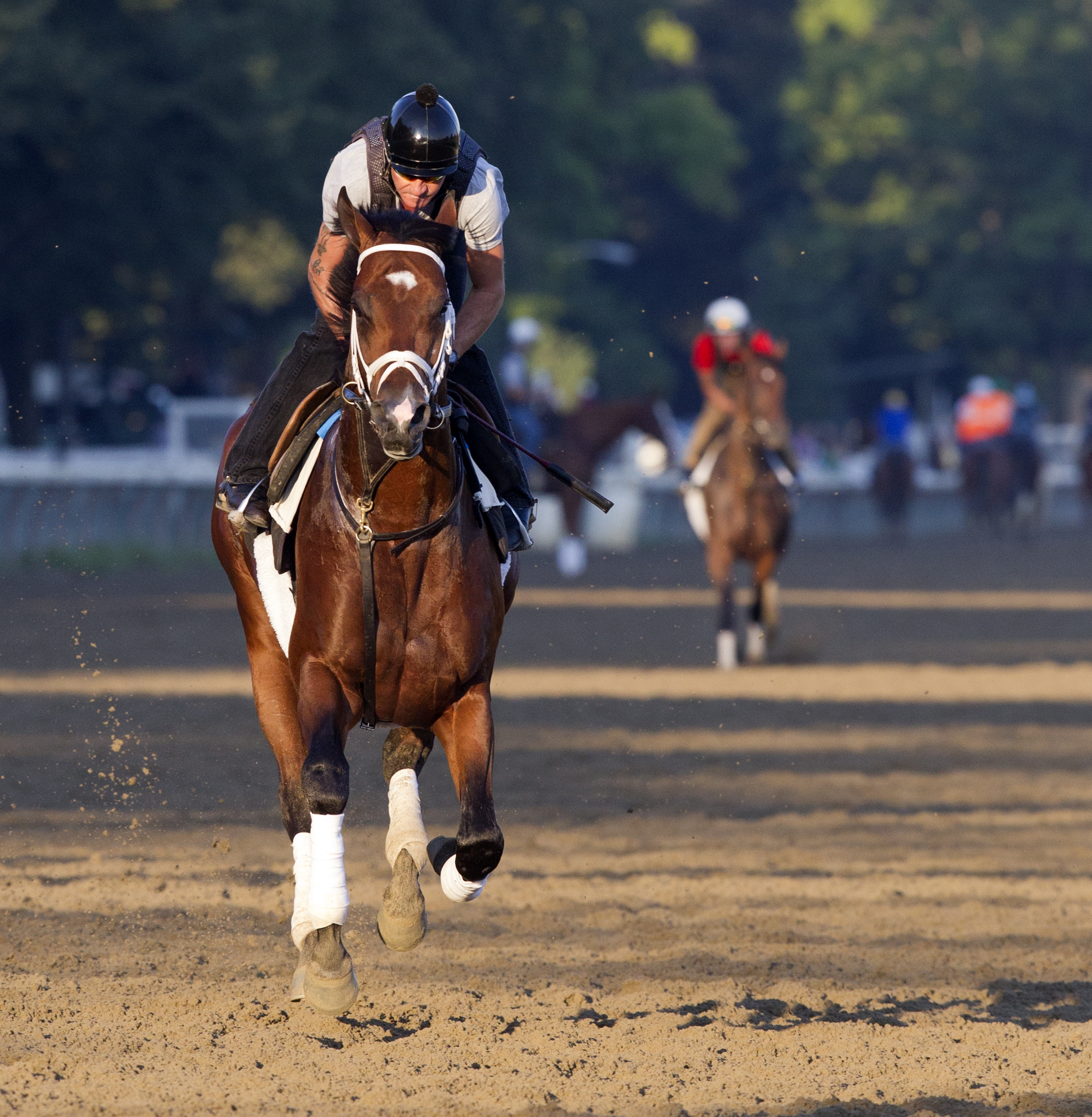 Far From Over trains at Saratoga on Aug. 5