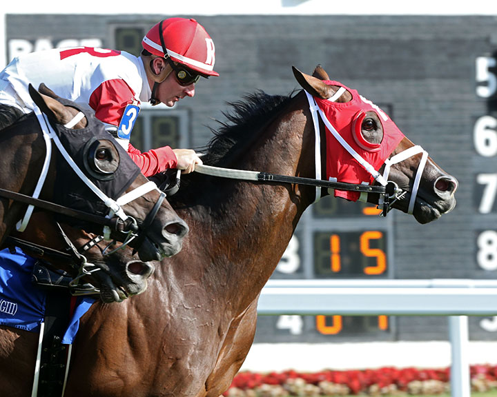 Faraway Kitten wins the American Derby at Arlington Park