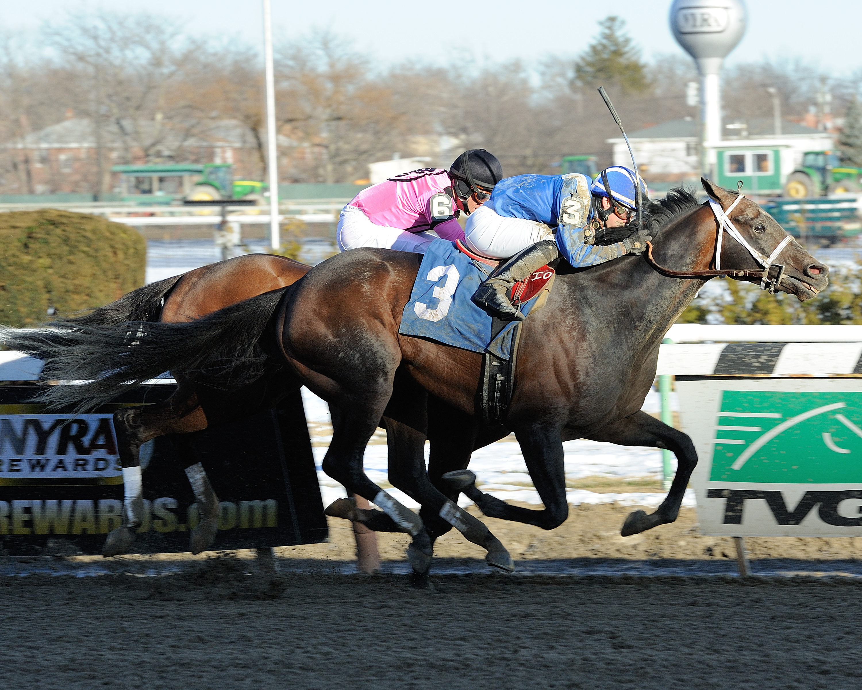 Farhaan wins the Stymie