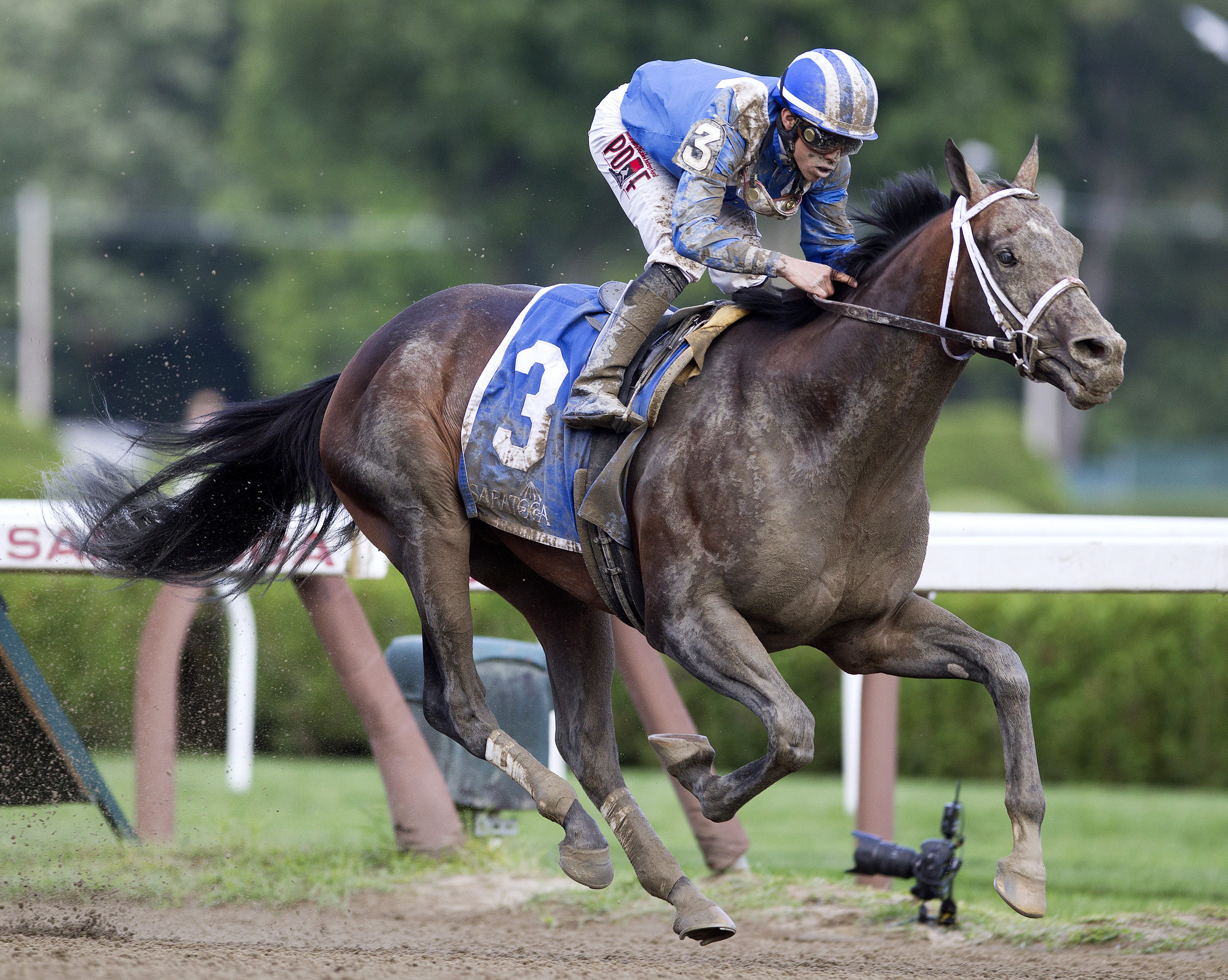 Farhaan wins the Alydar