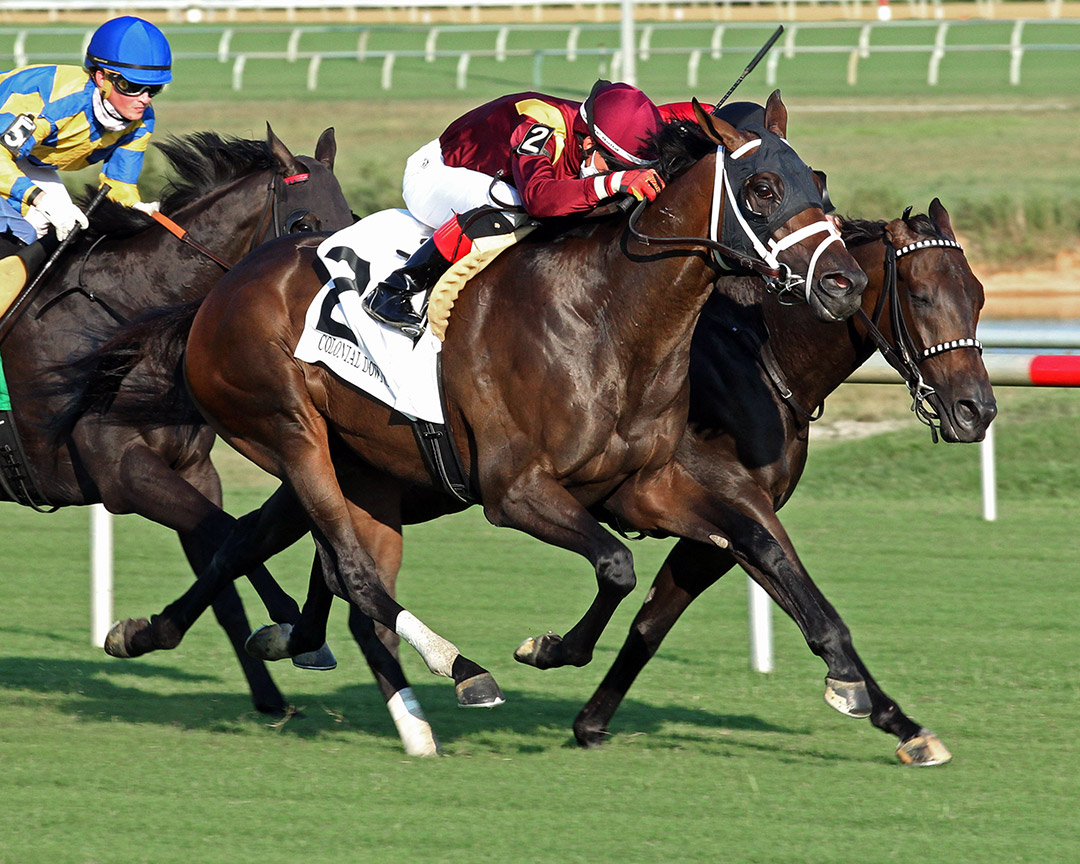 Farmington Road (2) wins a July 29 allowance at Colonial Downs
