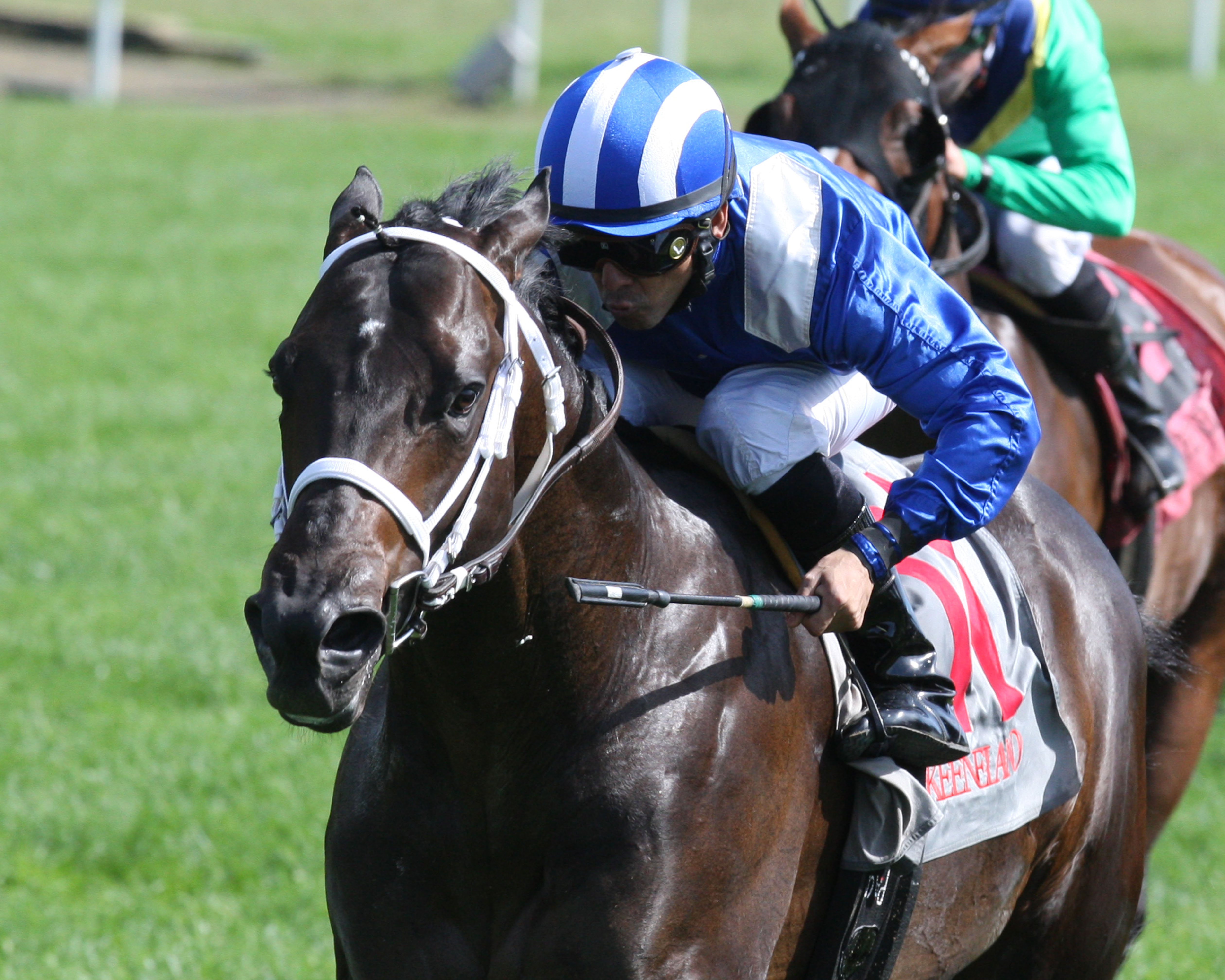 Farz wins a maiden race