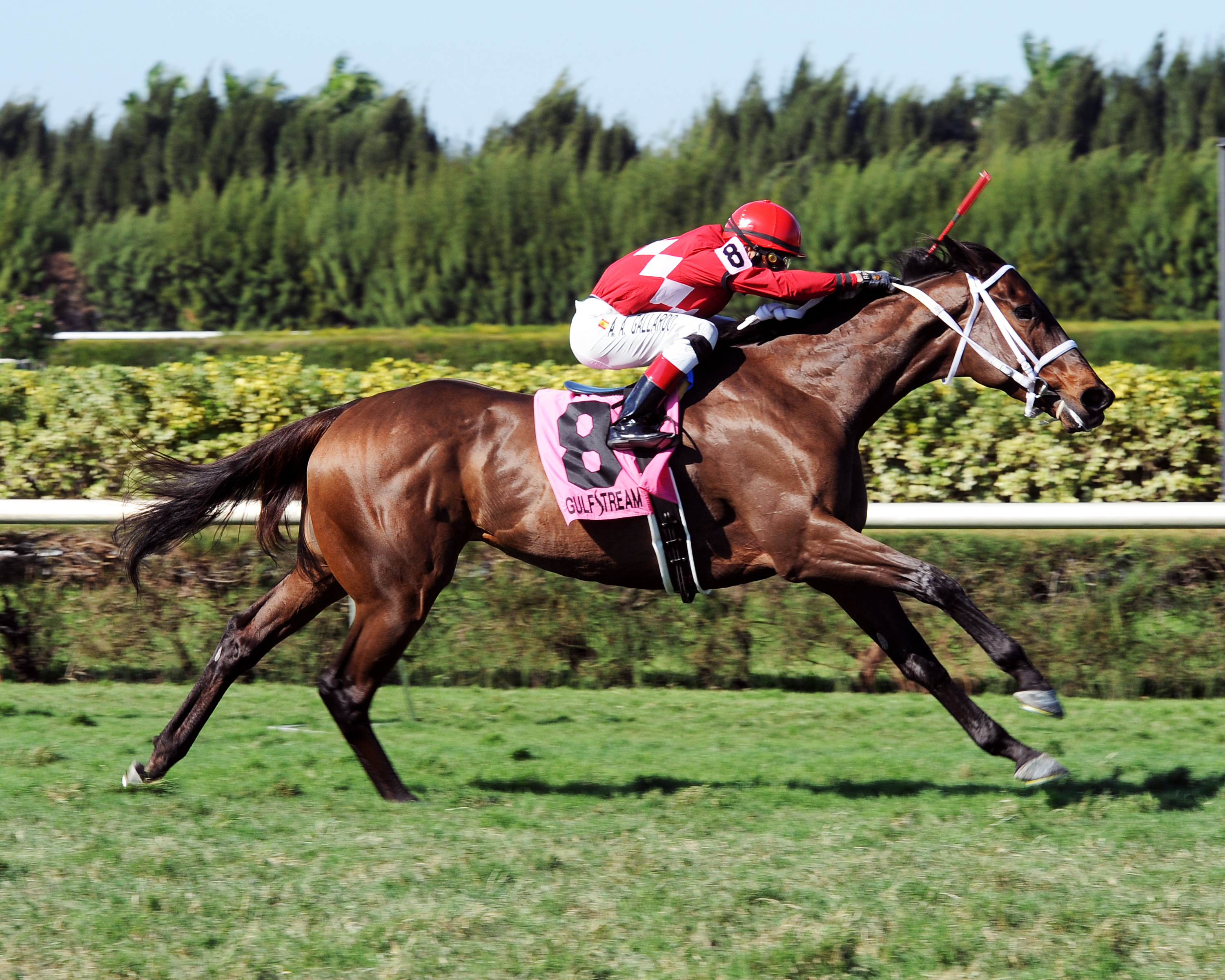 Fascinante wins the Sparkler Stakes