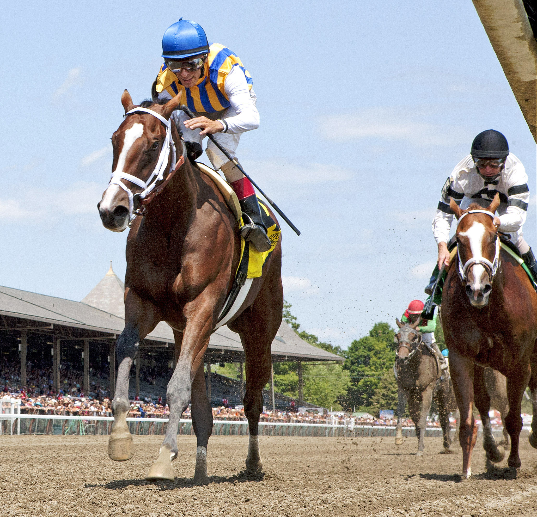 Fashion Alert wins the Schuylerville