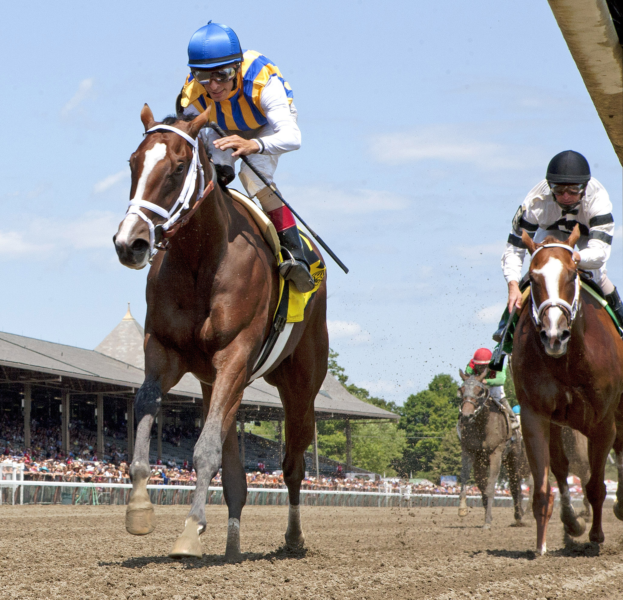 Fashion Alert wins the Schuylerville