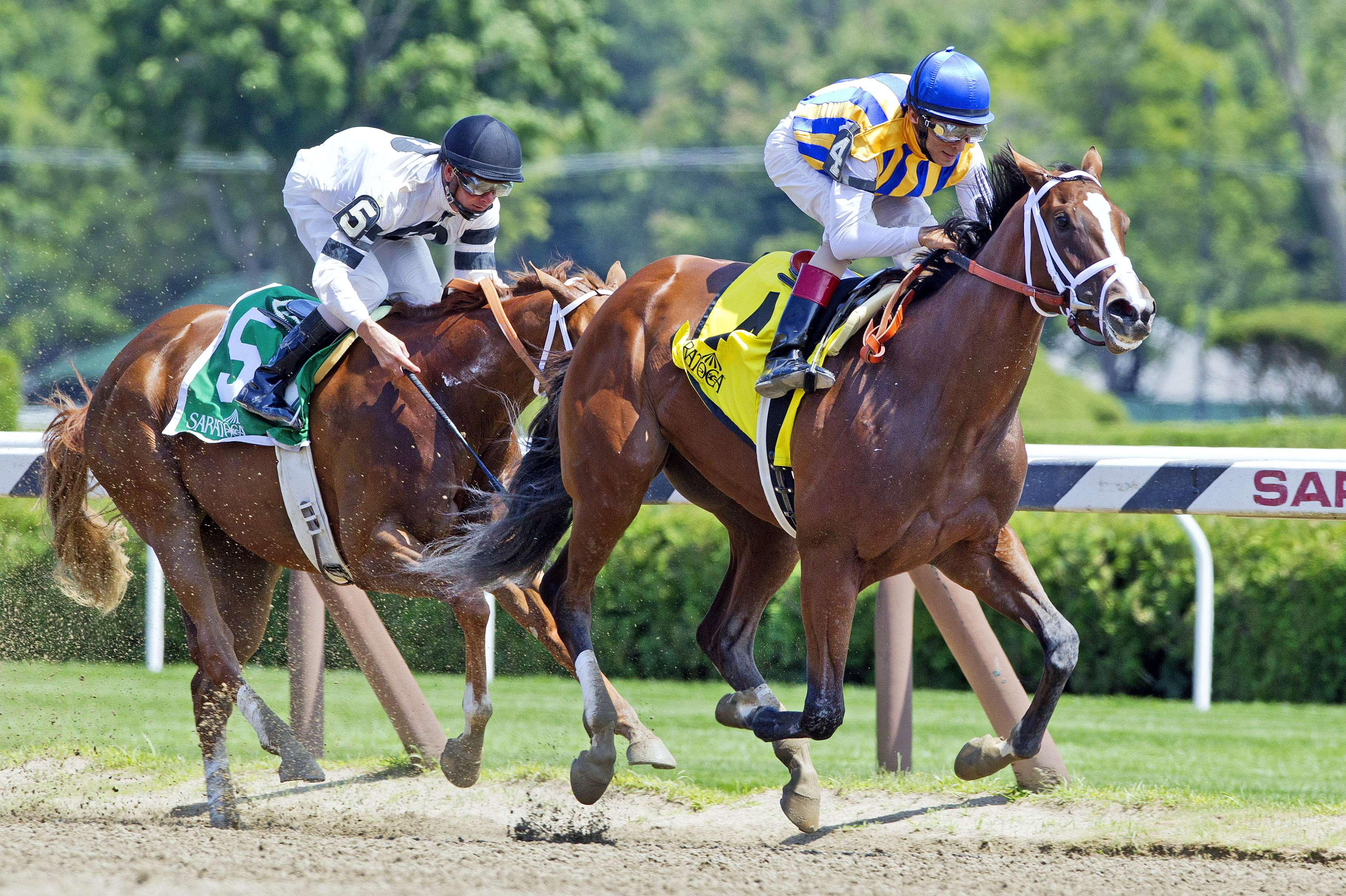 Fashion Alert wins the Schuylerville
