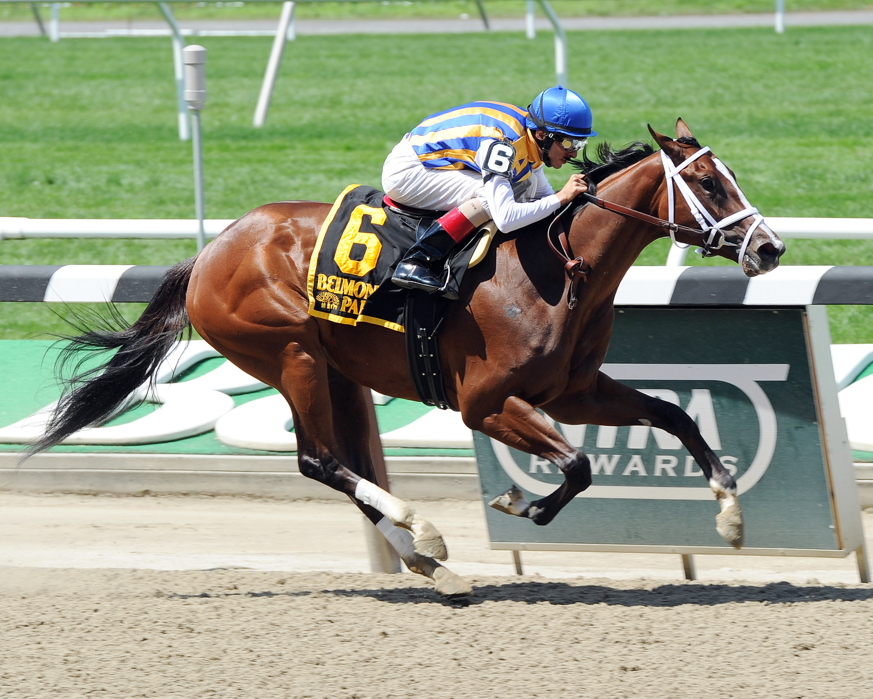 Fashion Alert wins the Astoria