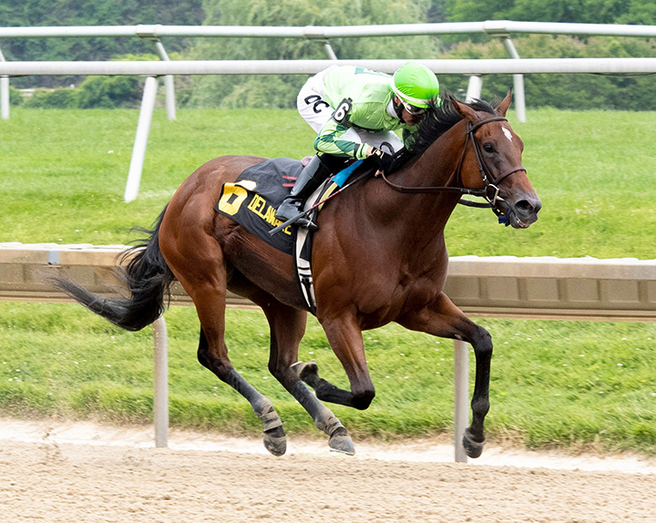 Fashion Faux Pas wins the 2019 Light Hearted Stakes