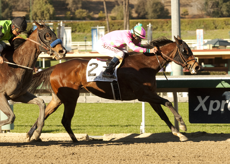 Fashion Plate 2-1-2014