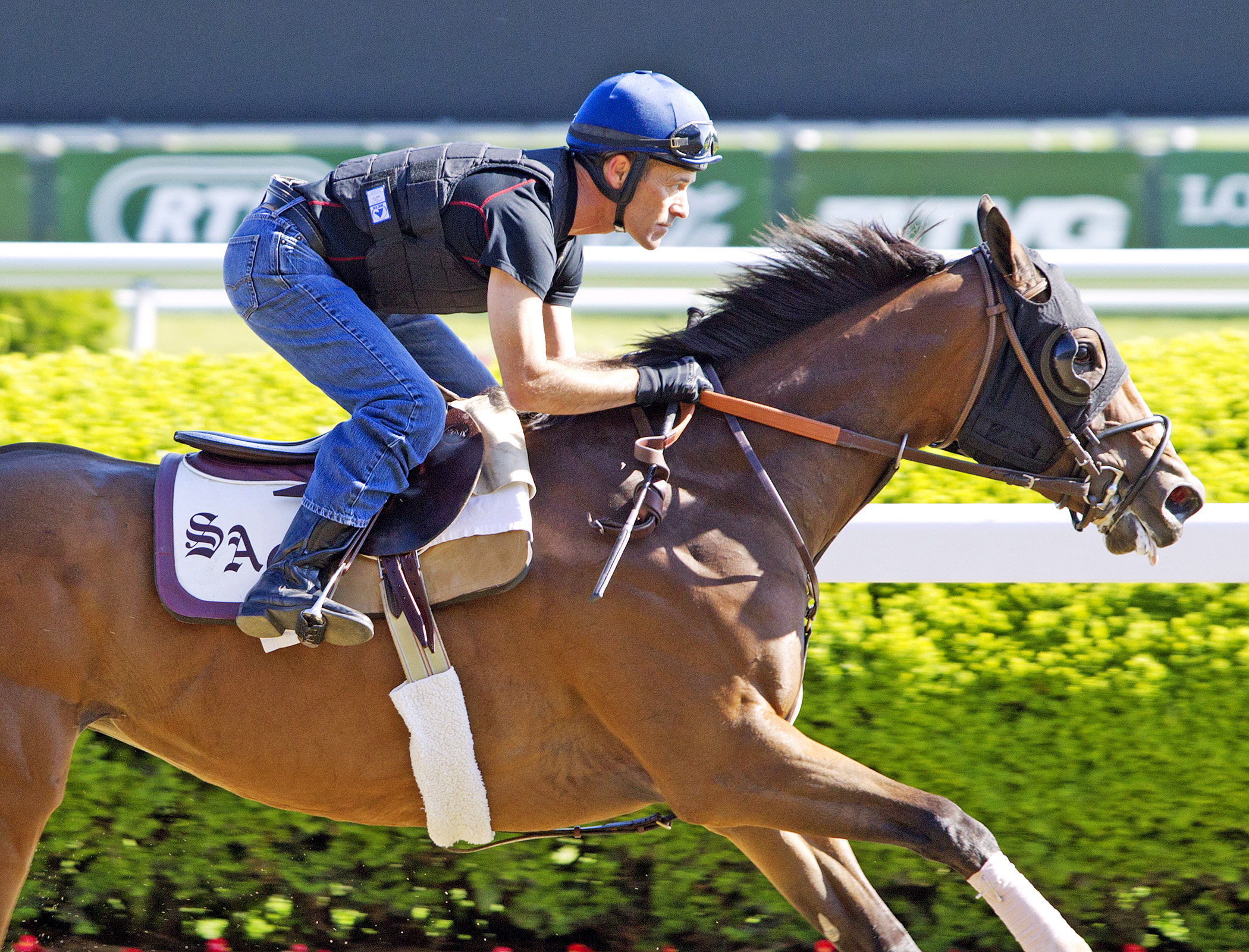 Fashion Plate under Gary Stevens