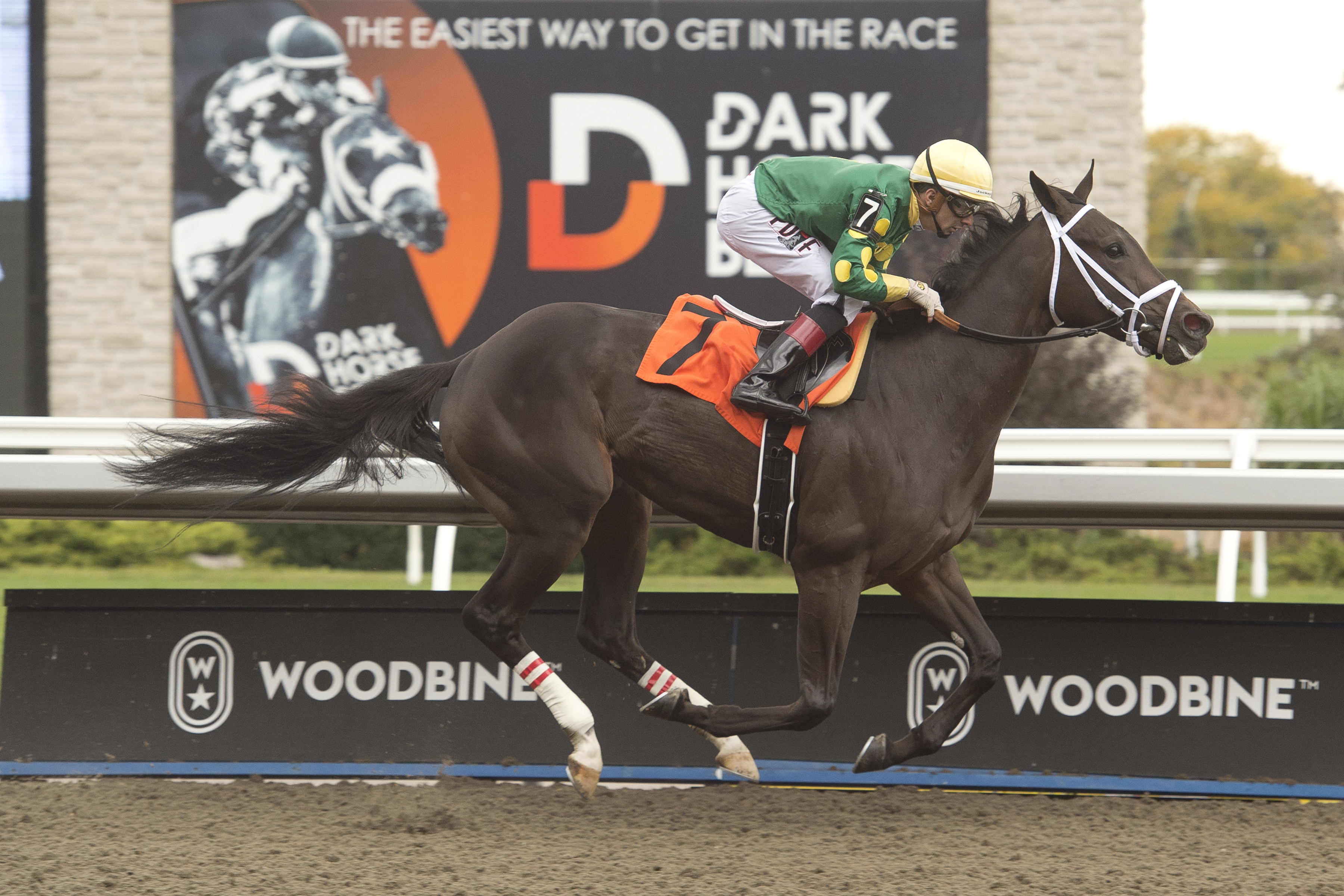 Fashionably Fab/maiden win