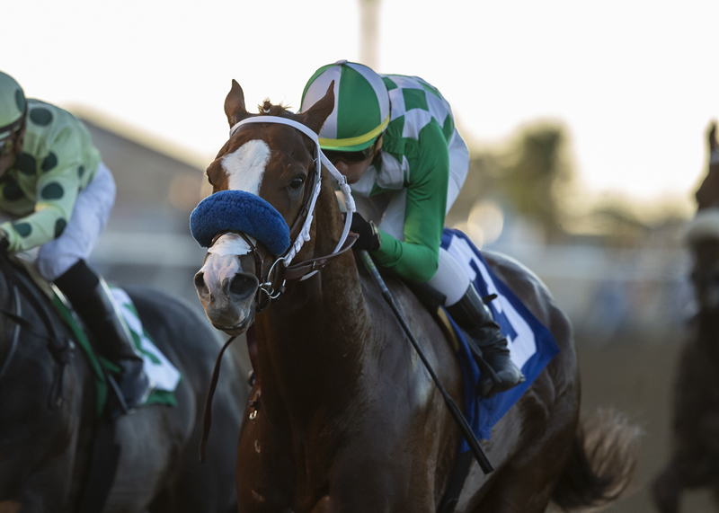 Fashionably Fast wins the 2019 Cary Grant Stakes