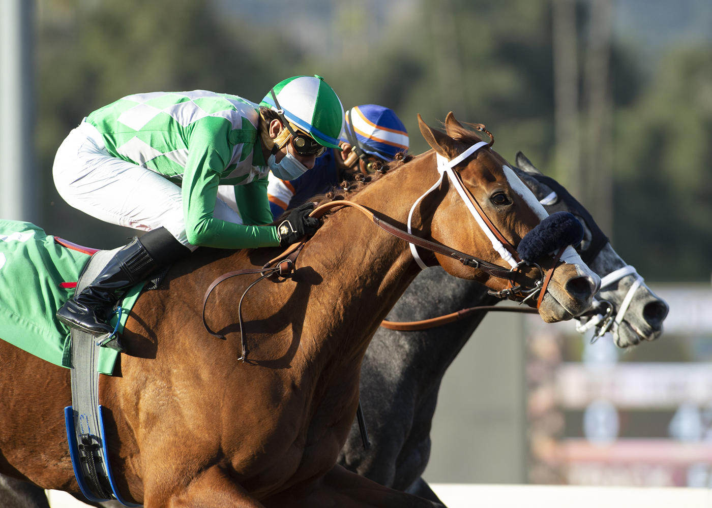 Fashionably Fast wins Tiznow Stakes 2-28-2021