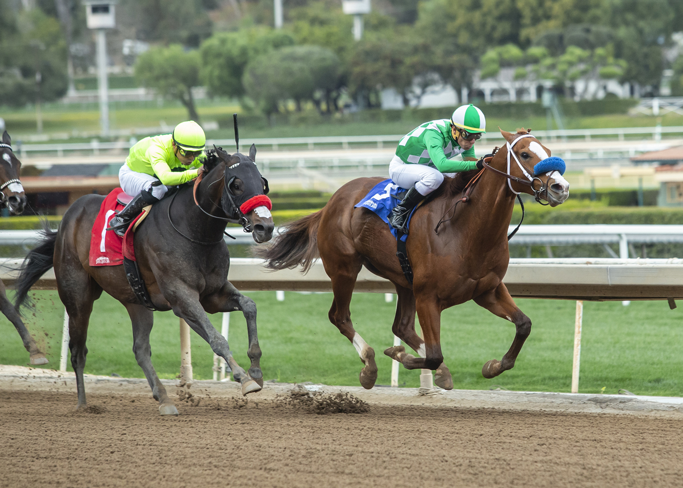 Fashionably Fast wins the 2020 Tiznow Stakes