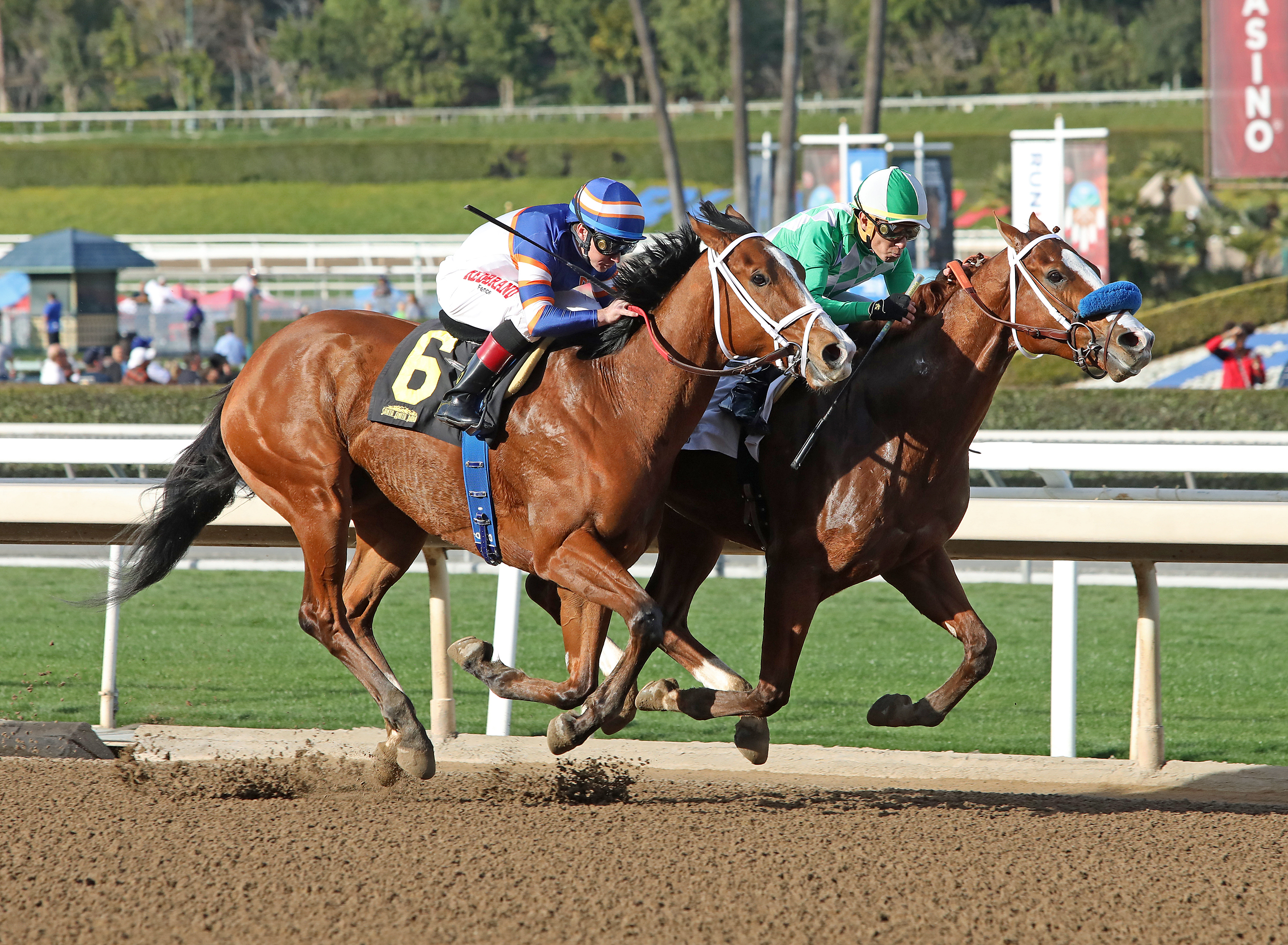 Fashionably Fast (inside) holds off Lieutenant Dan in the 2020 Cal Cup Sprint