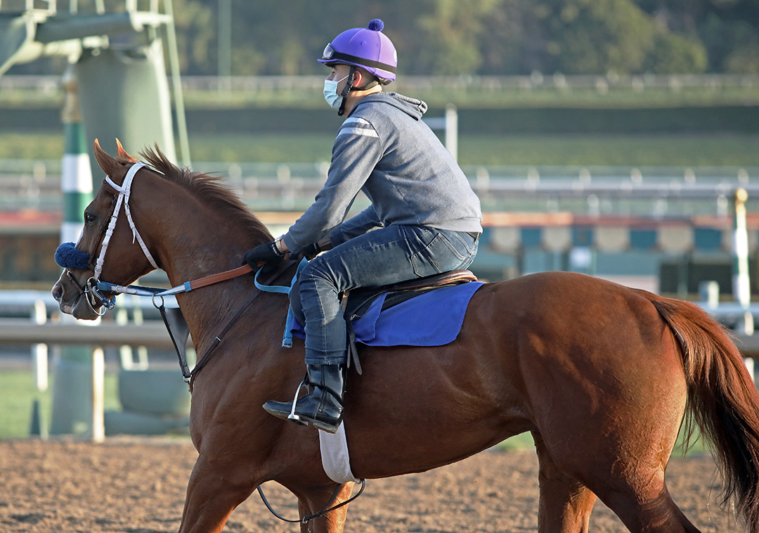 Fashionably Fast at Santa Anita Park in March 2021