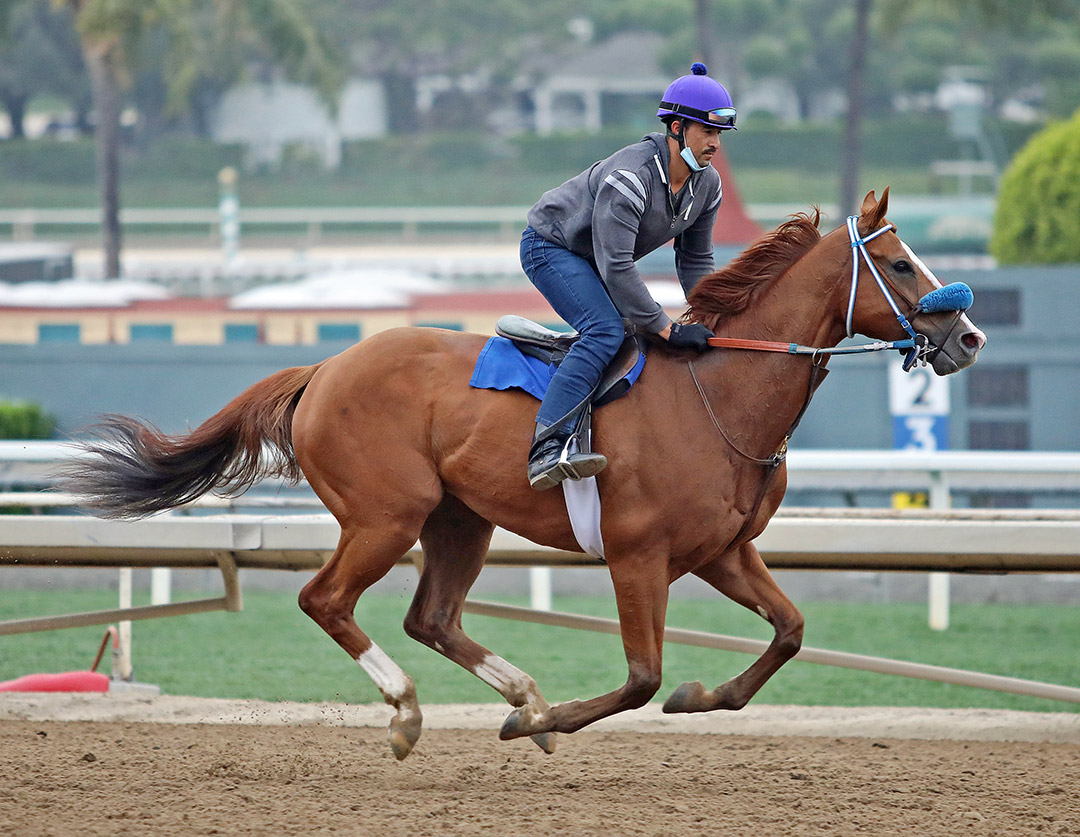 Fashionably Fast trains at Santa Anita in May 2021