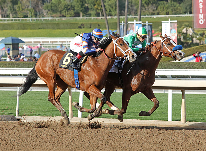 Fashionably Fast (right) wins the 2020 California Cup Sprint Stakes at Santa Anita