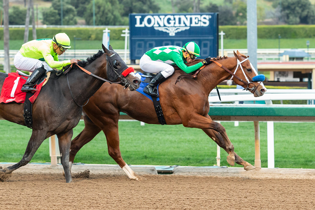Fashionably Fast wins the 2020 Tiznow Stakes at Santa Anita