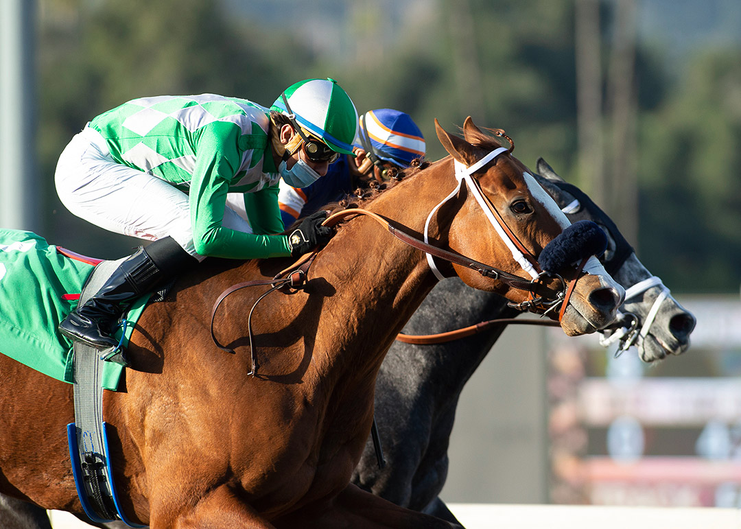 Fashionably Fast (outside) wins the 2021 Tiznow Stakes at Santa Anita Park