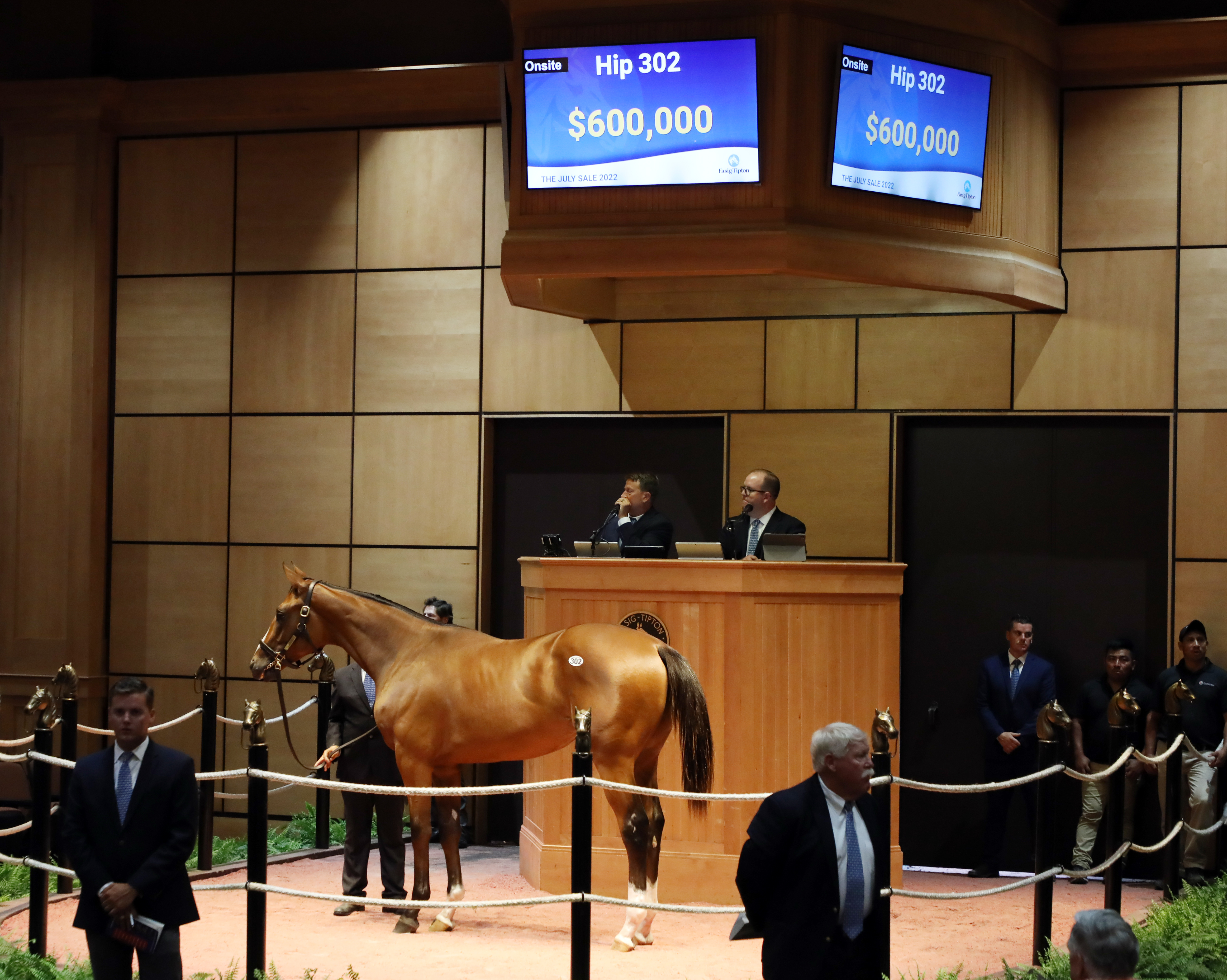 Fasig-Tipton July sales topper.Curlin-Forest Sugars.July 12 2022