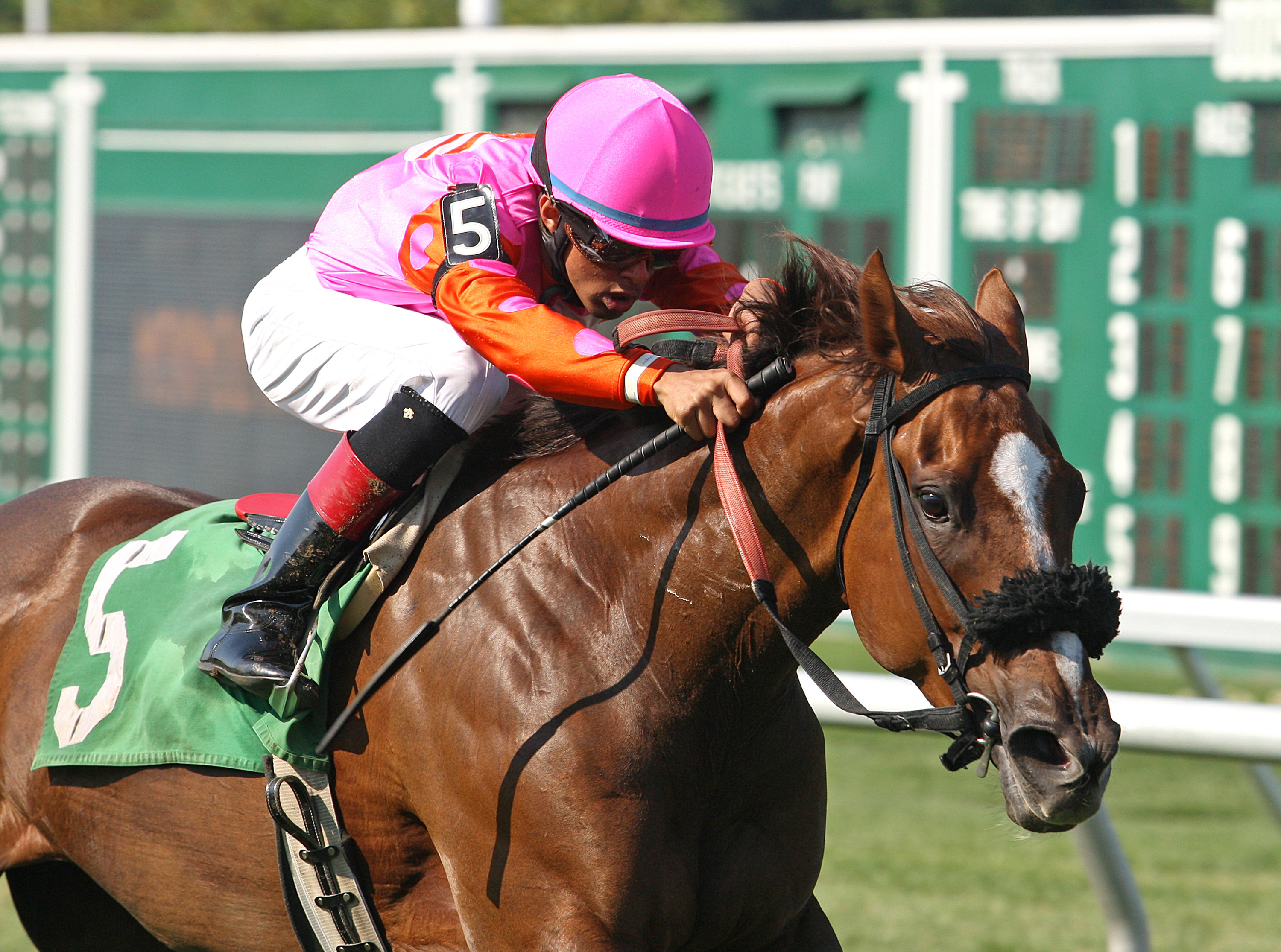 Fasnacloich wins an allowance race at Monmouth on July 11, 2014