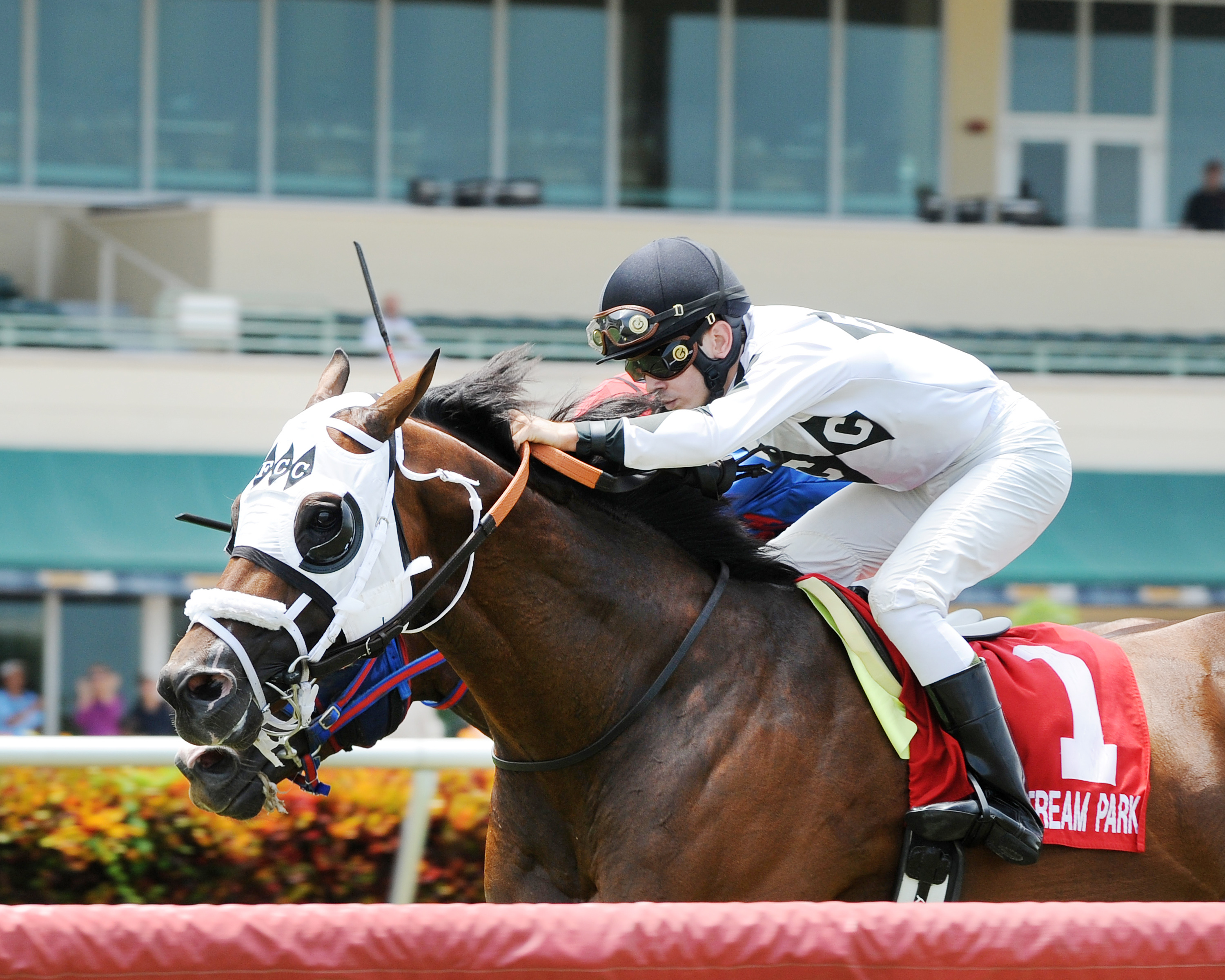 Fast Anna wins the Sawgrass