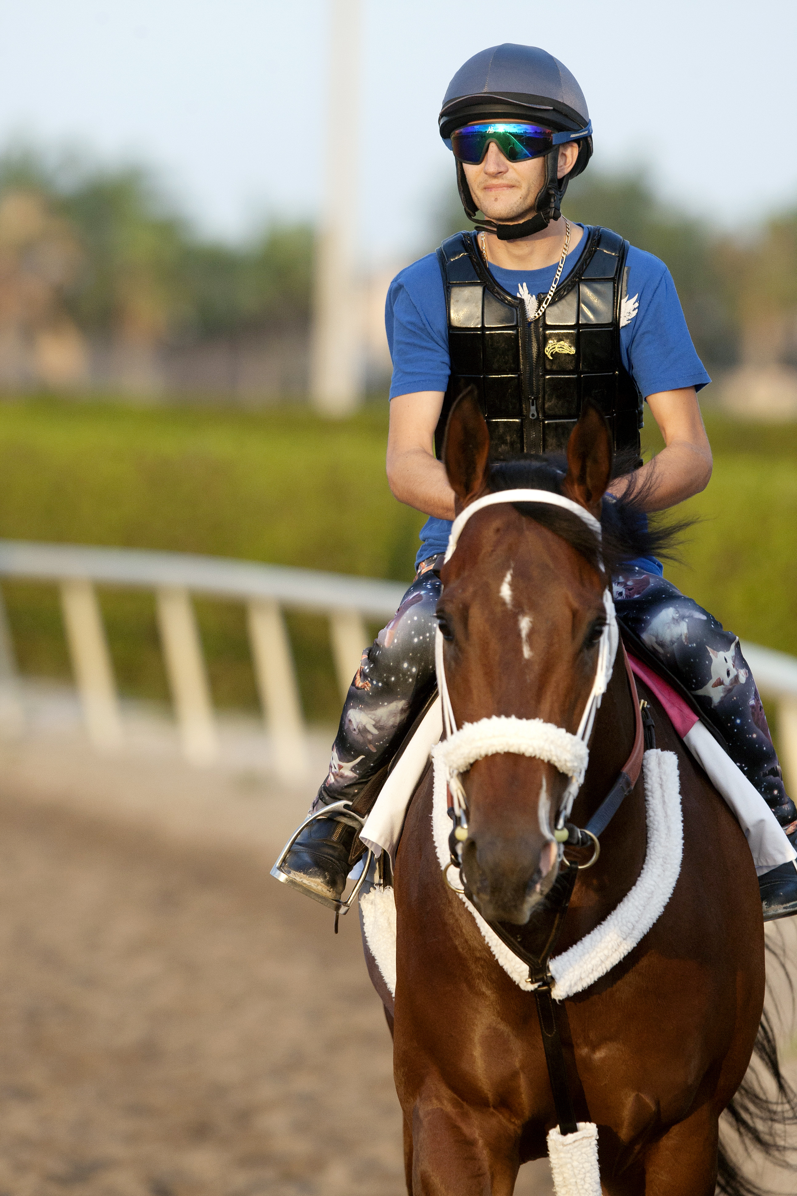 Fast Anna in March 2014