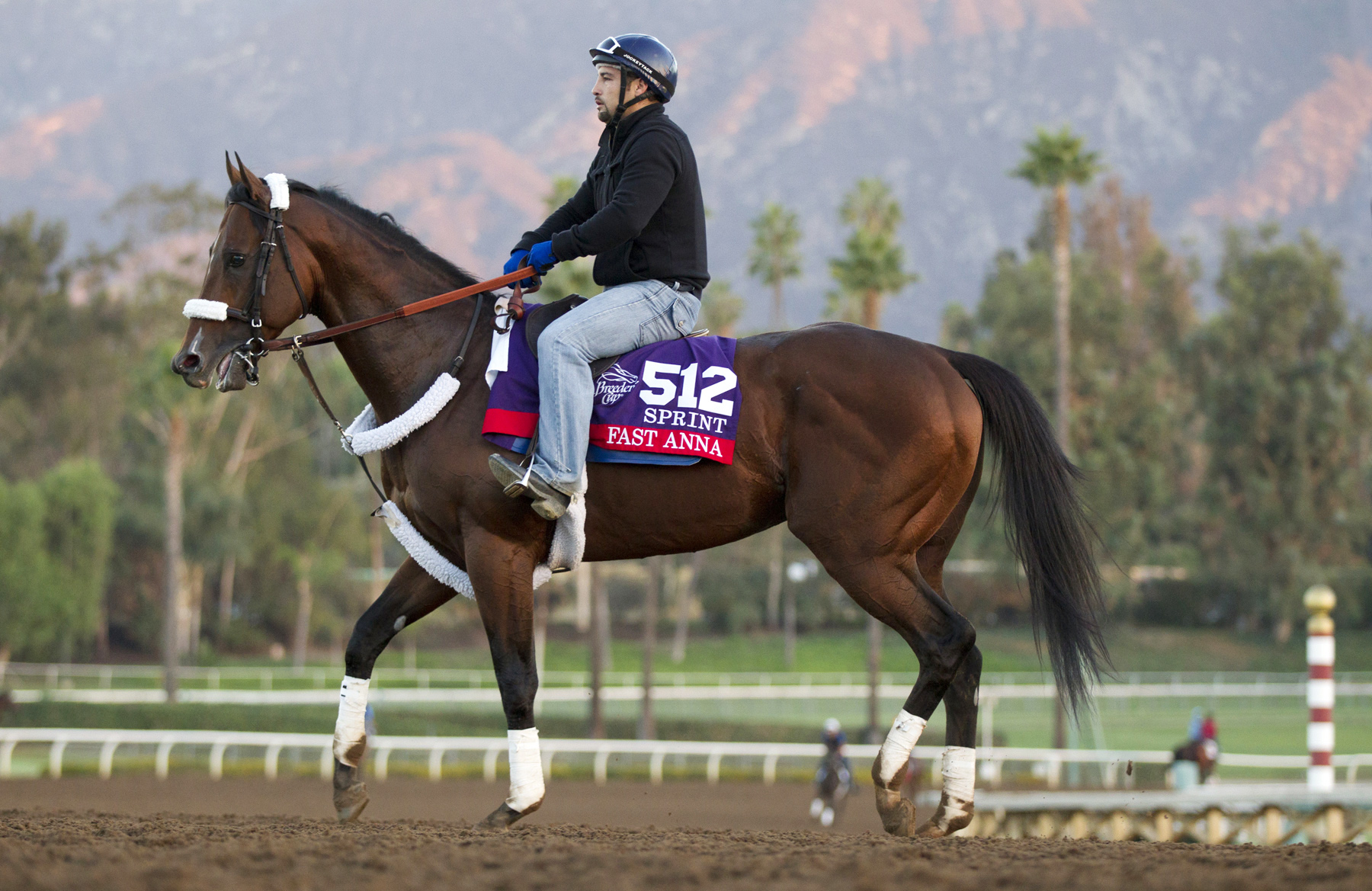 Fast Anna at Santa Anita Park