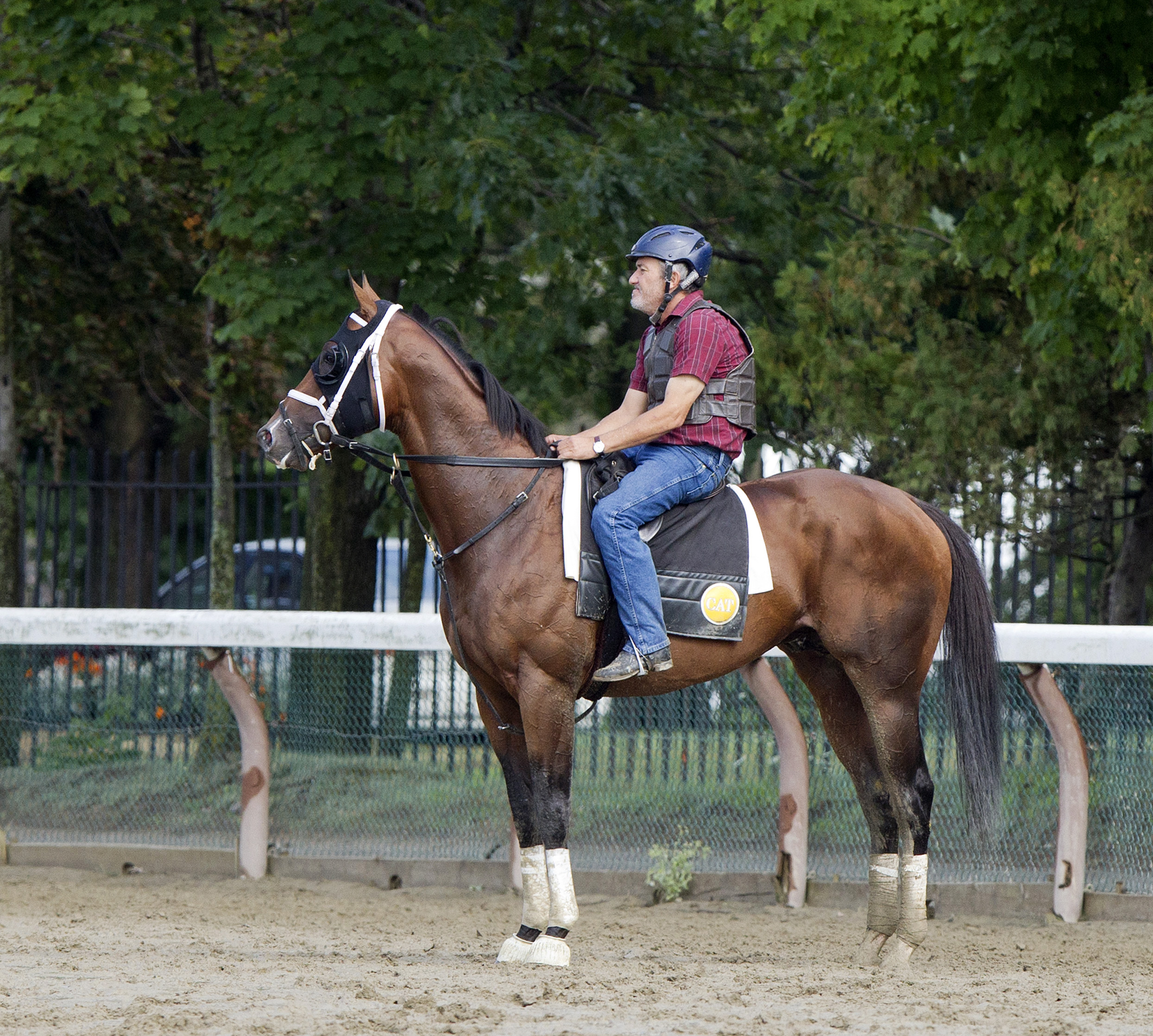Fast Anna at Saratoga on Aug. 21