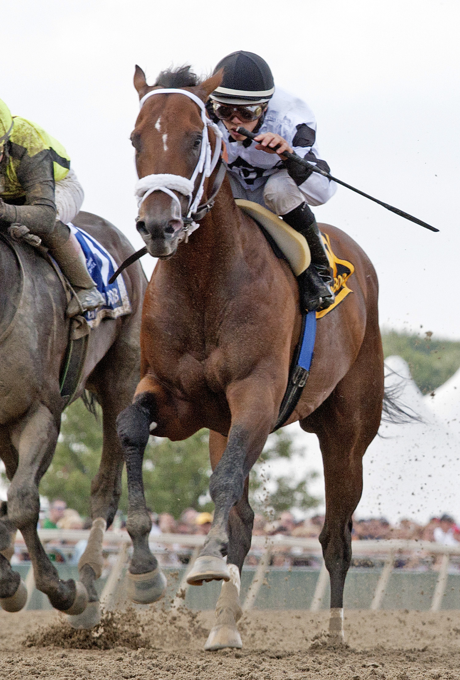 Fast Anna finishes second in the Gallant Bob