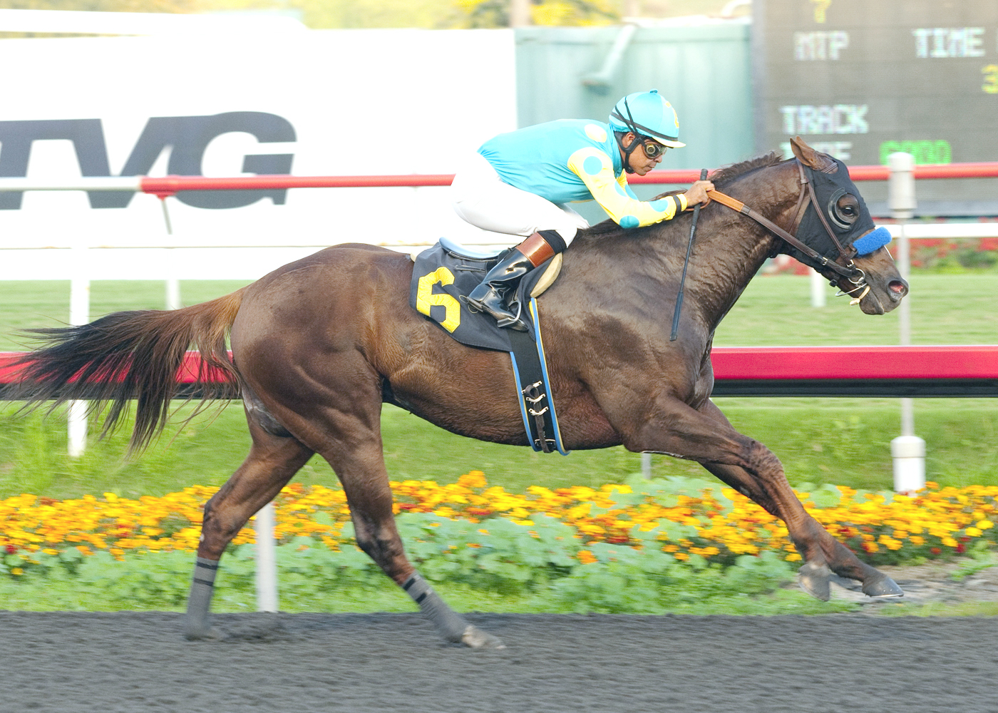 Fast Bullet/allowance race