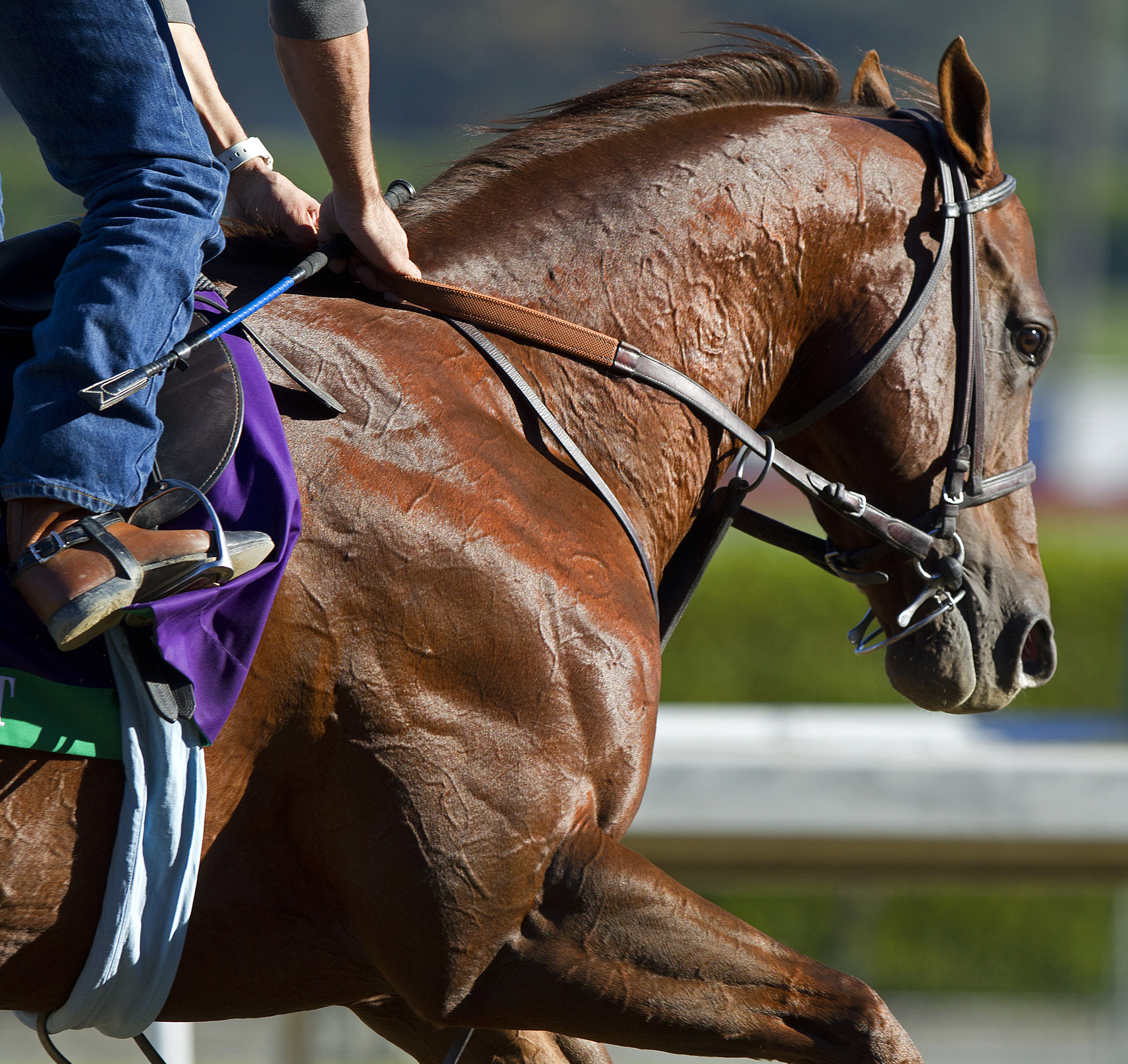 Fast Bullet 10-28-2012