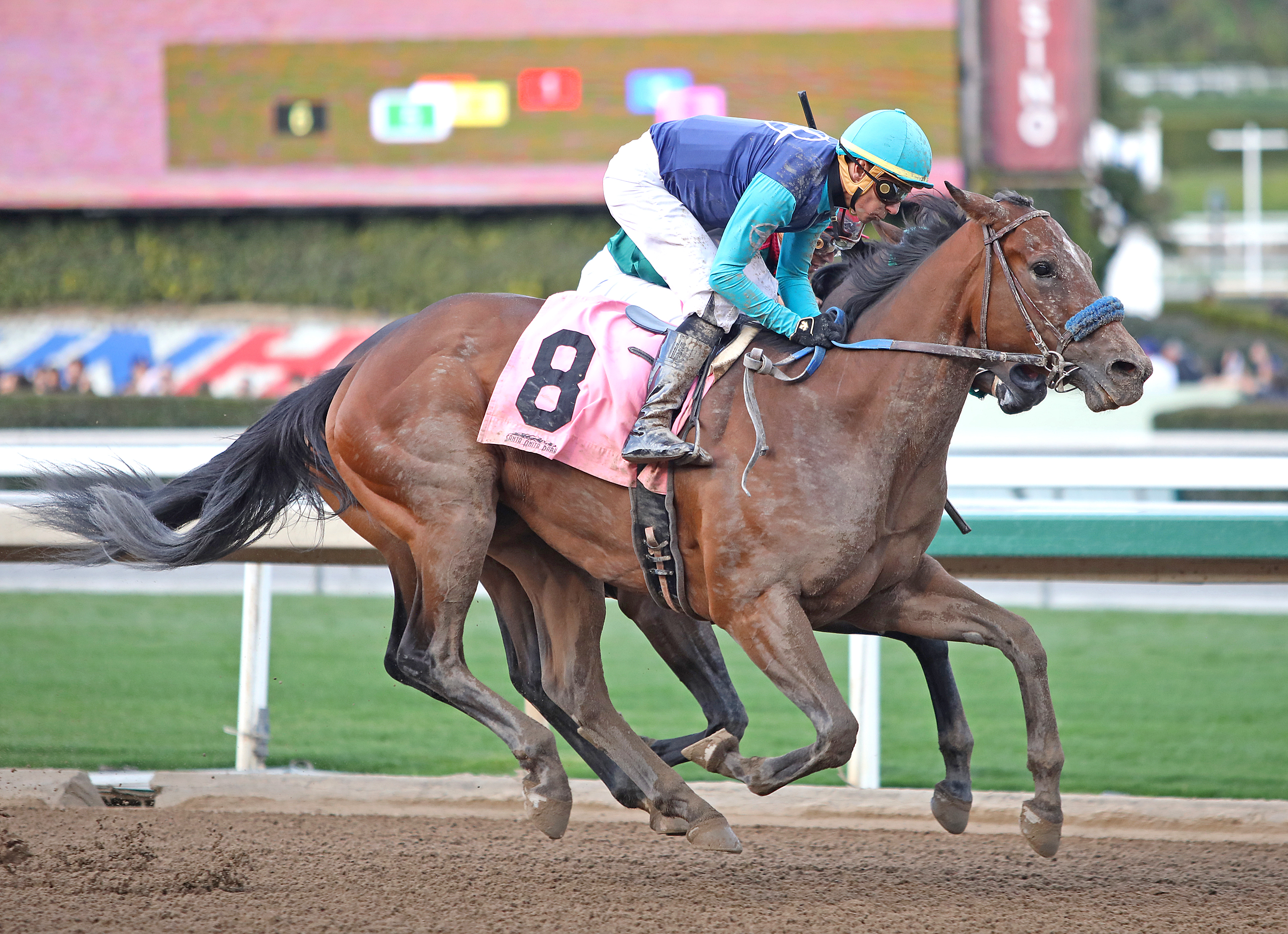 Fast Enough wins the 2020 Cal Cup Derby