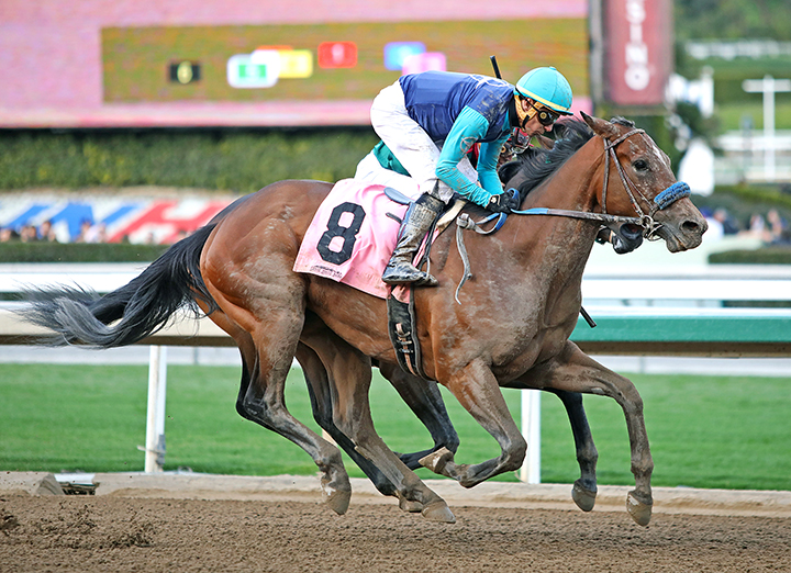 Fast Enough wins the 2020 California Cup Derby at Santa Anita Park