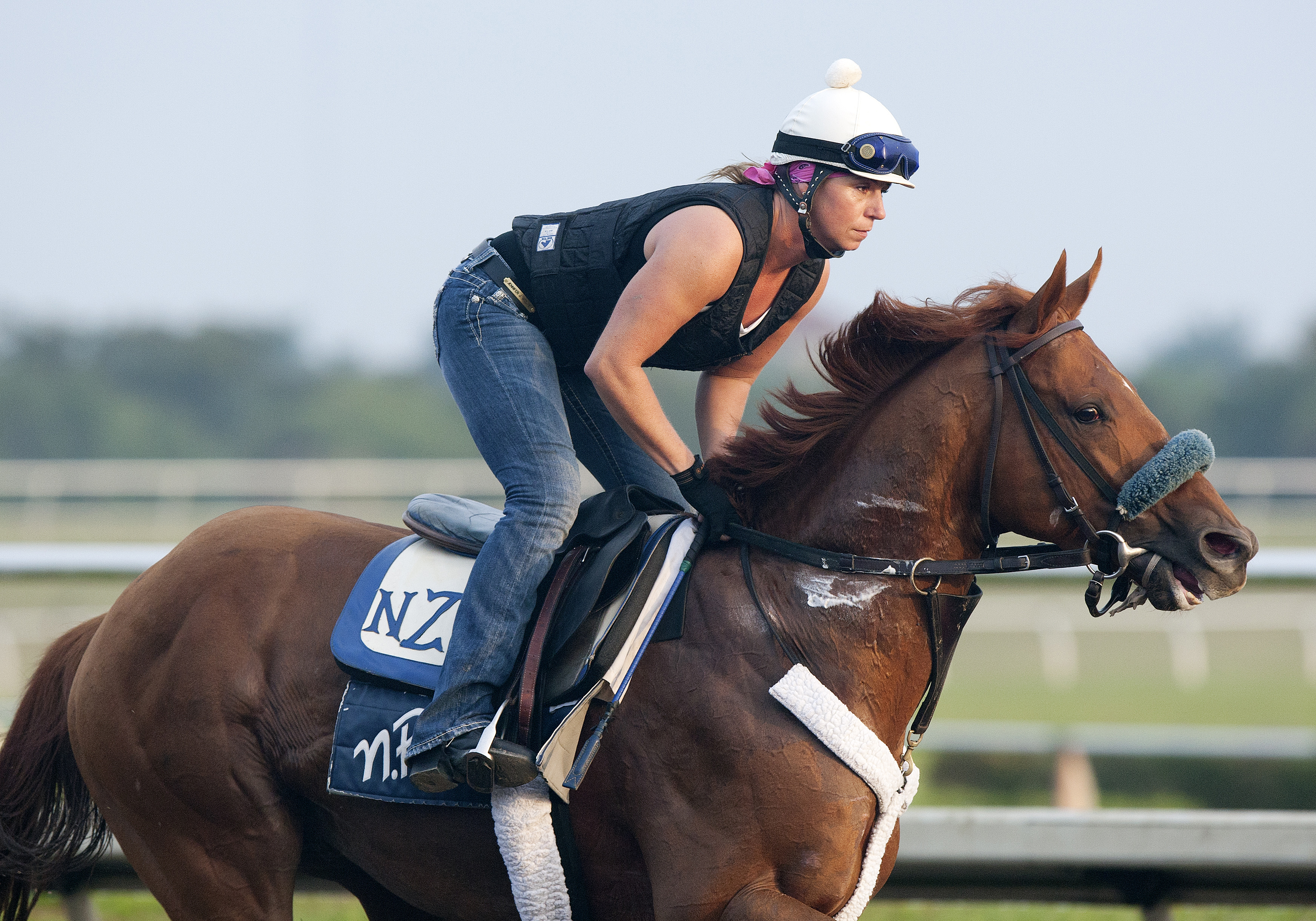Fast Falcon