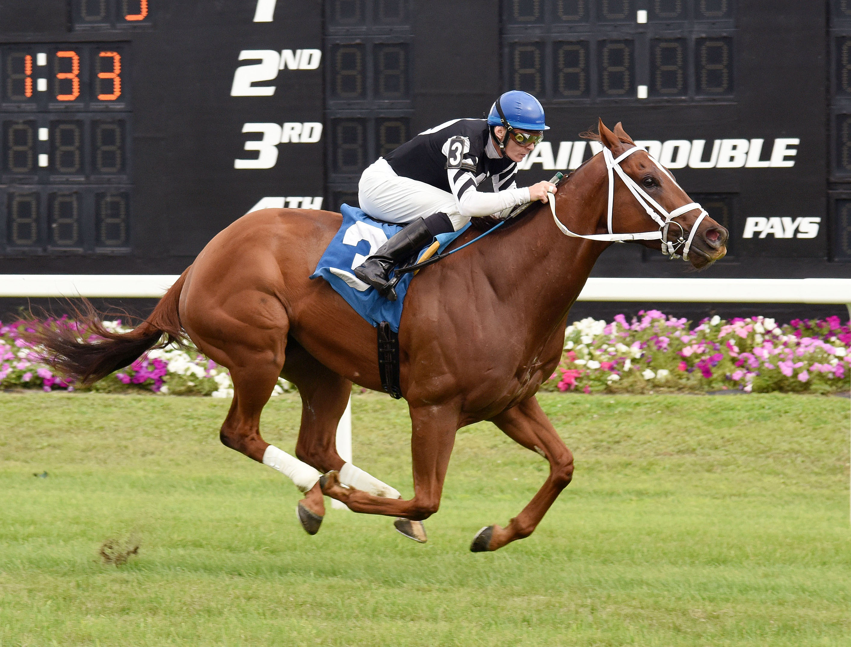 Fast Flying Rumor wins the Turf Dash Stakes