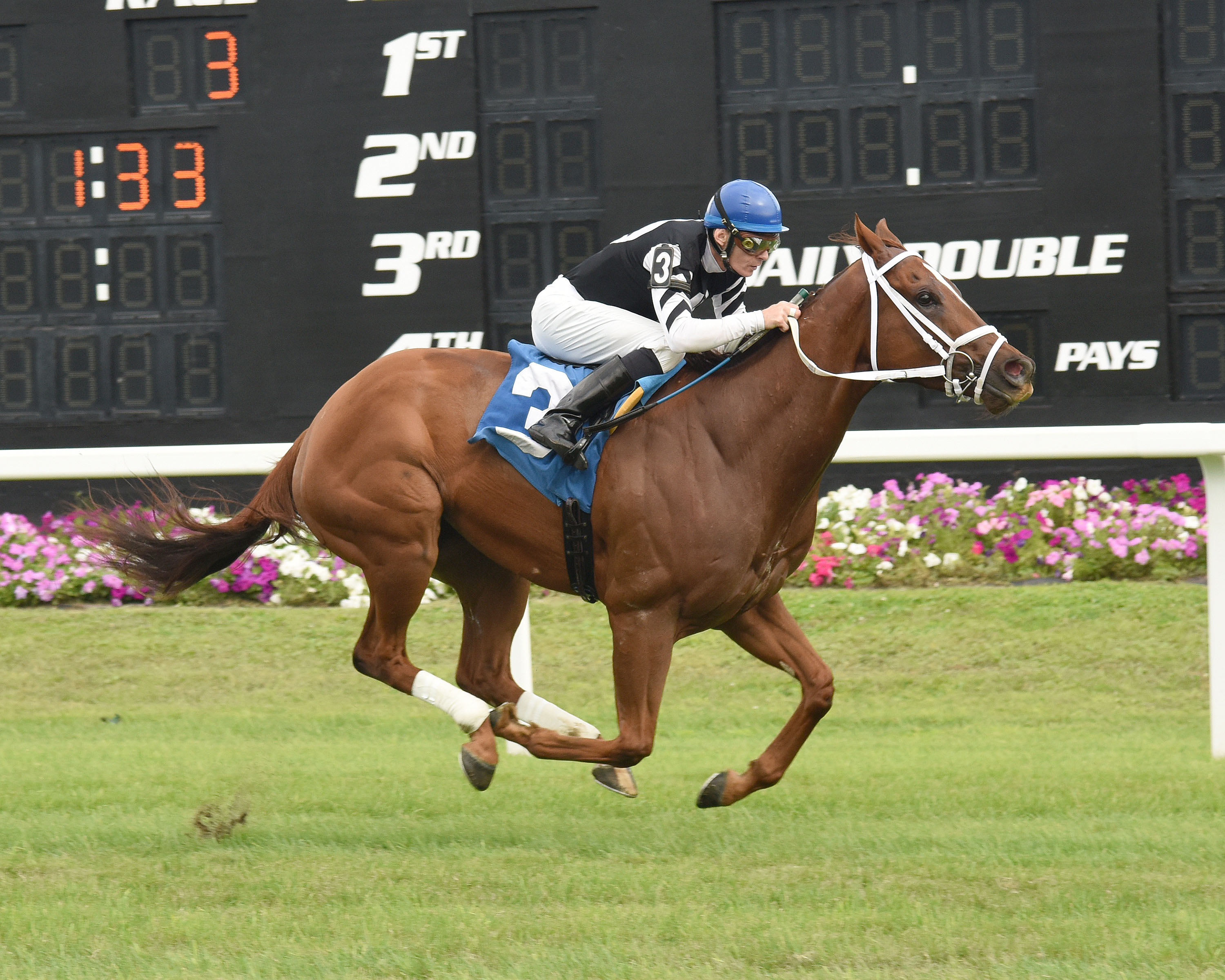 Fast Flying Rumor 1-9-2016