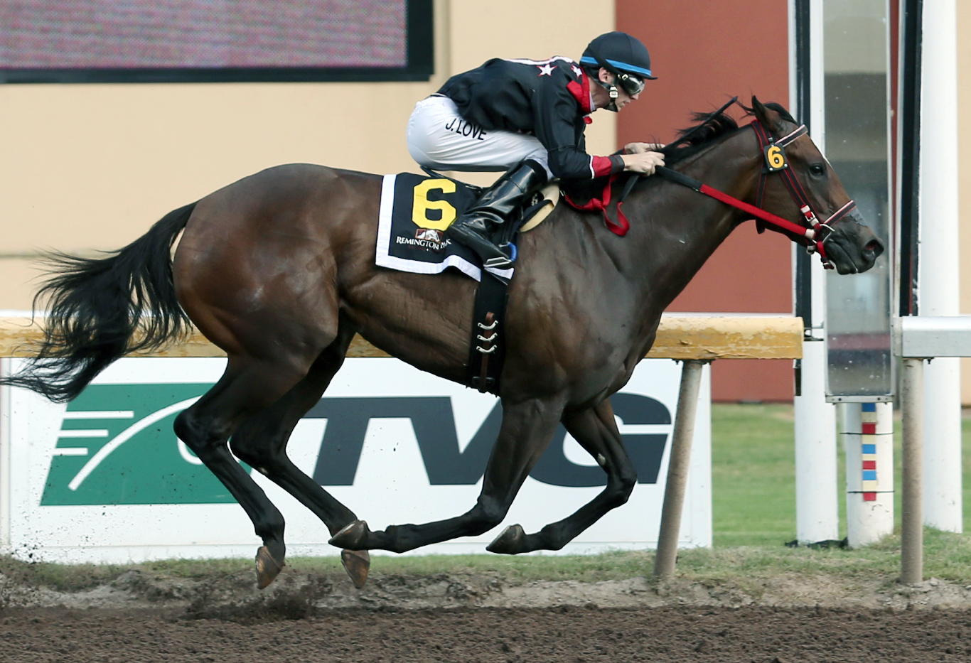 Fast N Fine Lookin wins the Flashy Lady
